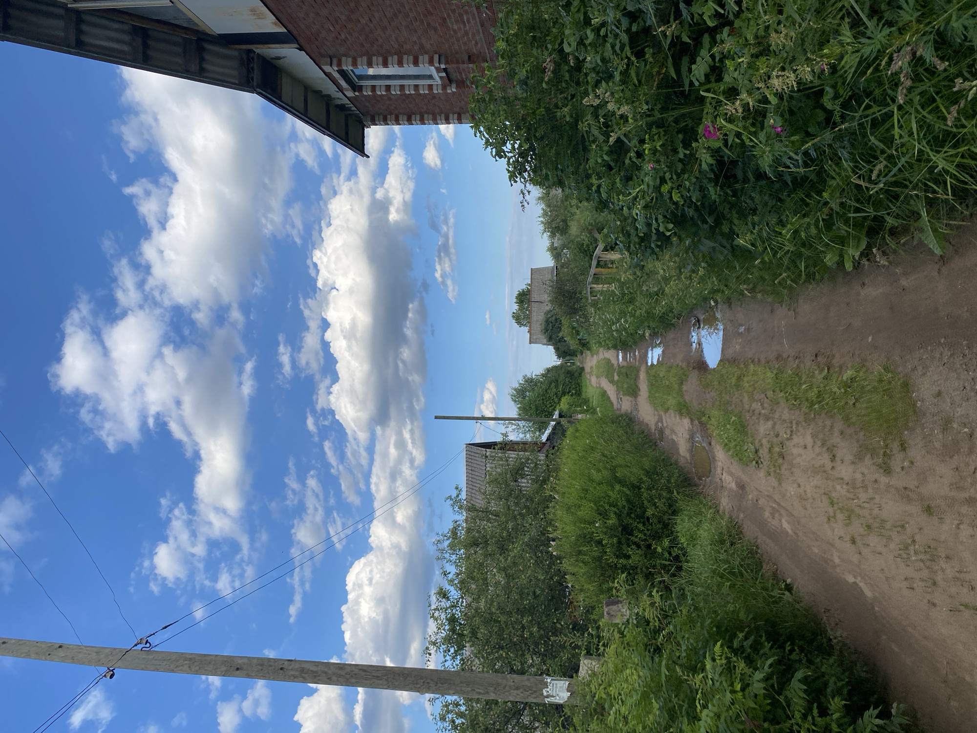 The image depicts a dirt road in a rural setting, likely in Novyi Ural, Russia, on a clear day. The sky is a vibrant blue, dotted with fluffy white clouds. The road is somewhat muddy, with several puddles reflecting the sky. Dense green vegetation lines the sides of the road, with trees and bushes growing abundantly.
In the foreground, a wooden utility pole with wires stretches across the frame, and parts of two buildings are visible on the left. One building appears to be made of brick, with a window and decorative brickwork. The other building's roof is visible, with corrugated metal. Further down the road, other houses and structures can be glimpsed through the foliage. The overall impression is one of a peaceful, natural environment with signs of human habitation.
The time of day appears to be midday or early afternoon, given the bright sunlight and the shadows. The weather is fair and sunny, conducive to outdoor activities. There are no people visible in the image, and the focus is on the landscape and the rustic surroundings. The scene evokes a sense of calm and simplicity. Some faded text is visible on a piece of paper attached to a post on the right side of the road, but it is illegible.
