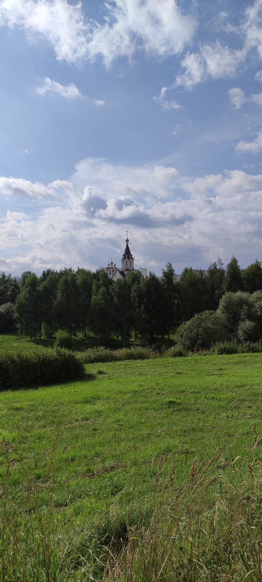 A medium shot captures a view of a domed church, peeking above a dense line of trees, set against a bright, cloudy sky. The church, white with a tall, dark spire topped with a cross, is partially obscured by the greenery. In the foreground, a rolling green field is visible, with tall grass growing in patches. The scene suggests a serene landscape with a prominent religious structure within a natural setting.