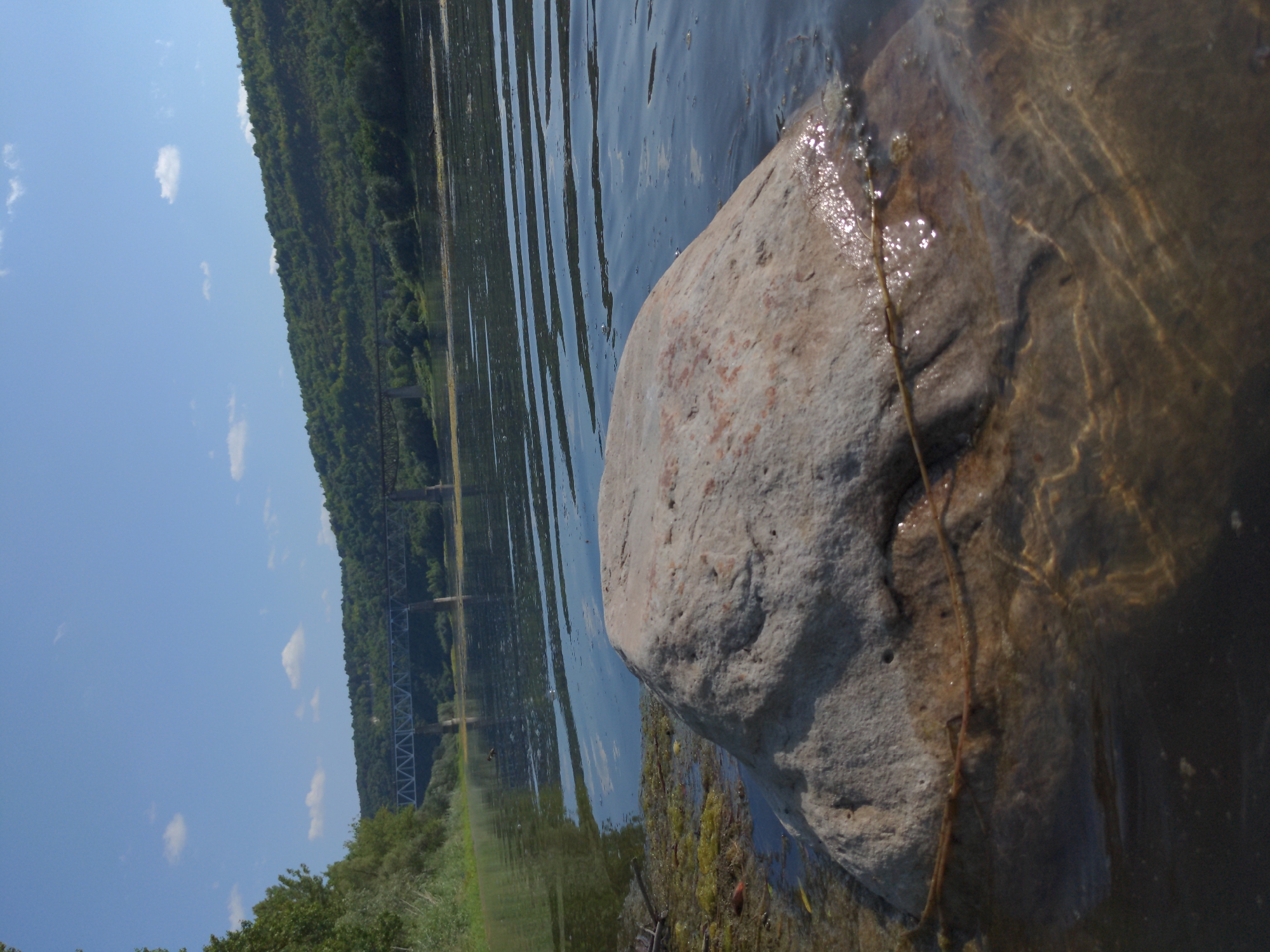 A low-angle, close-up shot features a large, weathered, light-colored rock partially submerged in a body of calm, clear water. The rock occupies the foreground, with its textured surface visible above and below the waterline. The water is slightly rippled, reflecting the bright, blue sky with scattered white clouds.
In the midground, the water extends towards a distant, tree-covered hilly landscape. A long, narrow bridge with visible supports spans the water in the distance, crossing a wide river. The riverbanks are lined with dense green trees and foliage. The overall environment appears natural and serene, with the bridge being the only man-made structure visible in the landscape.
The image does not contain any people or animals. The lighting suggests a sunny day. The setting is consistent with the Dnister River in or near Zalishchyky, Ukraine, given the characteristic landscape and presence of a prominent bridge.
