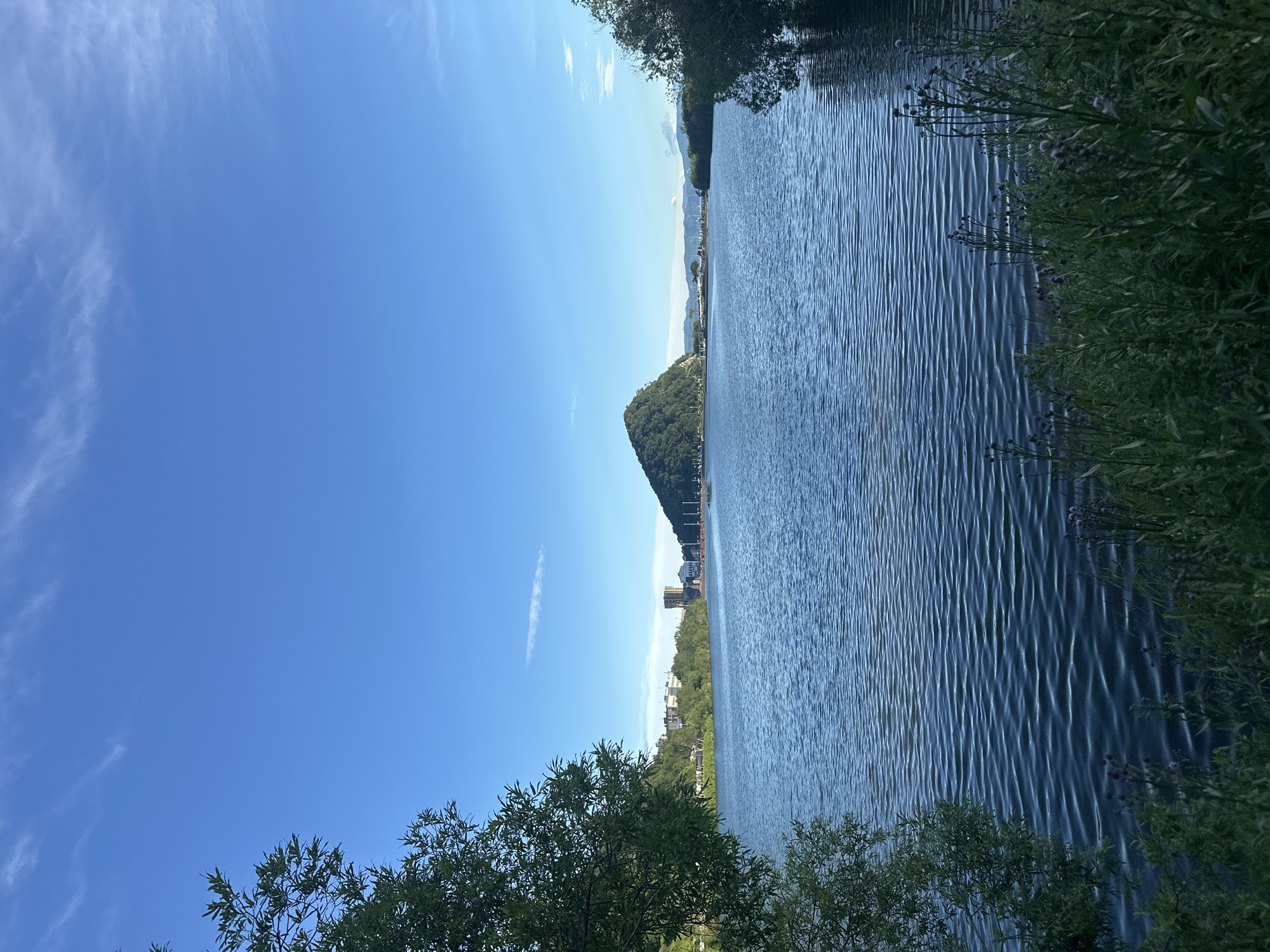The image depicts a scenic view of a body of water, likely a lake or bay, with a prominent, tree-covered conical hill in the distance. The sky is a clear blue with a few wispy white clouds. On the left side of the frame, the lush green foliage of trees extends into the foreground, partially obscuring the view. The water's surface is rippled, reflecting the blue of the sky. Along the far shore, there are buildings and more trees, suggesting a populated area beyond the natural landscape. The foreground on the right side shows dense, tall green grass and some flowering plants. Based on the visual cues, this scene is consistent with the landscape around Lake Blizhneye in Petropavlovsk-Kamchatsky, Russia, known for its proximity to Avacha Bay and surrounding volcanic hills. There are no people or animals visible in the image.