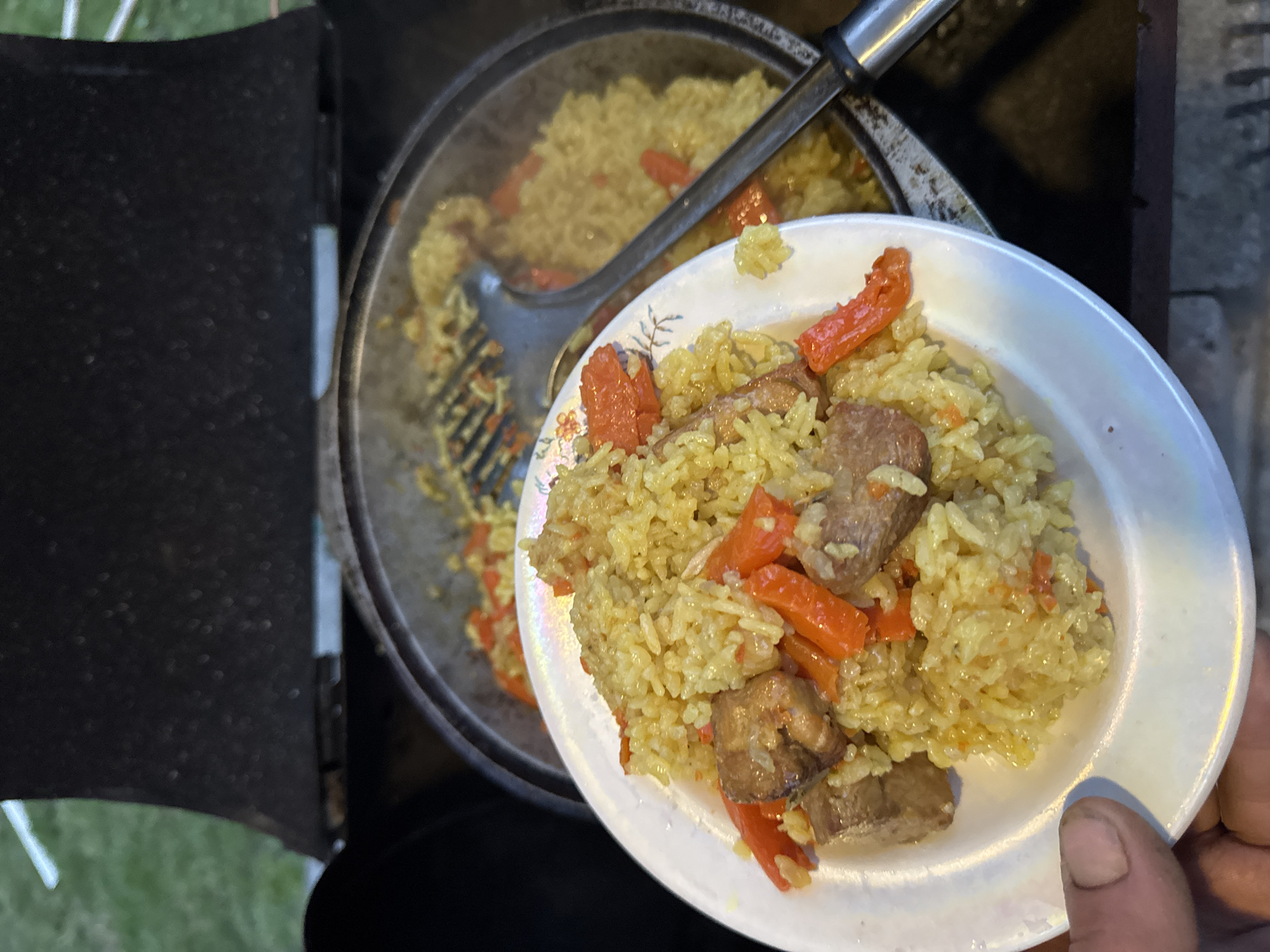 A plate of pilaf, a rice dish with meat and carrots, is being held by a person's hand. The pilaf is yellow and appears to be cooked in a black cast-iron pot in the background. The scene is outdoors, possibly in a backyard or park, with green grass visible. The location is not identifiable as Chaikovsky, Russia based on the visual information provided.