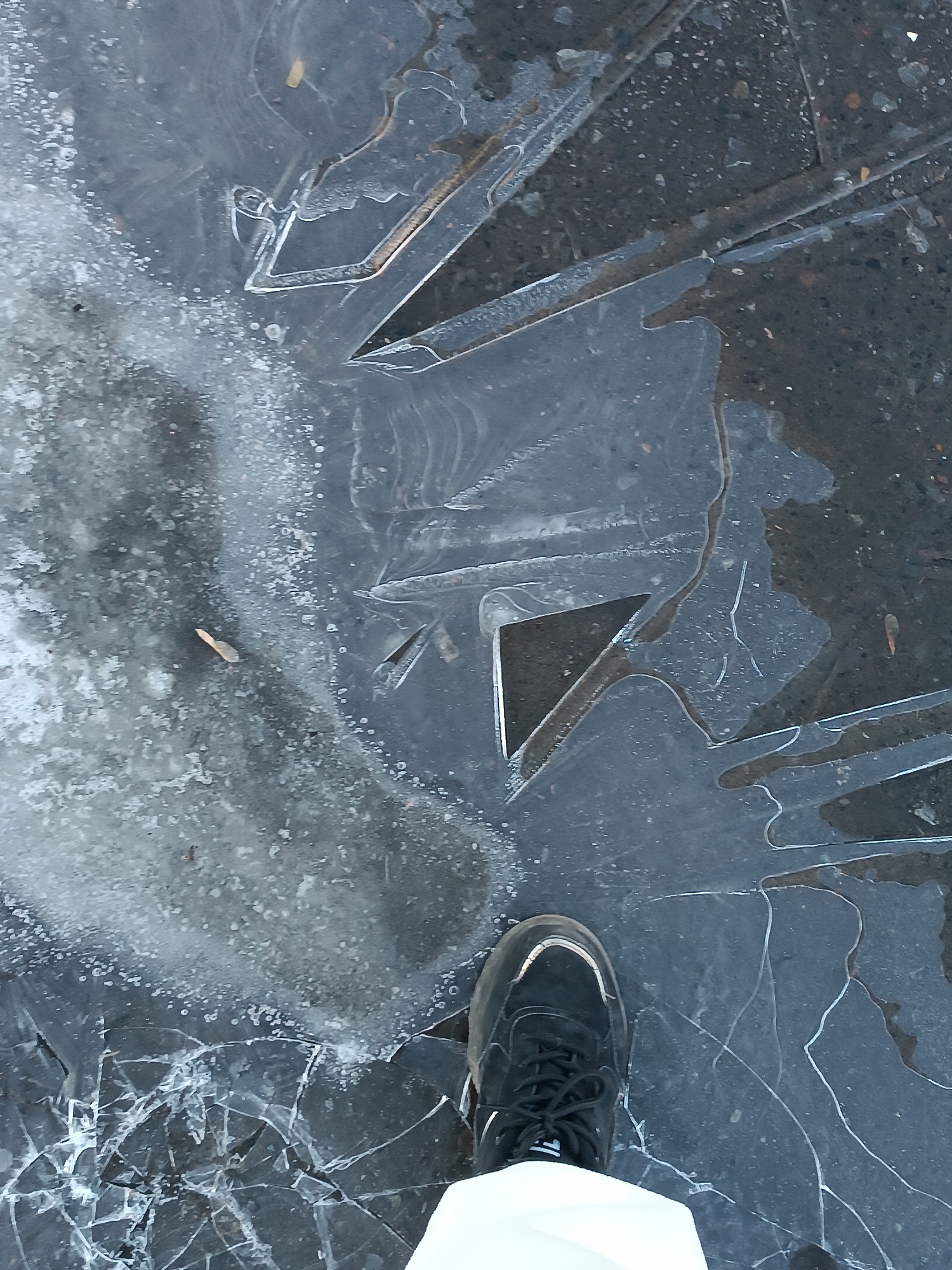A high-angle, medium shot depicts a layer of cracked ice covering asphalt. A single black sneaker with white accents and black laces is partially visible at the bottom of the frame, suggesting a person is standing on the ice. The ice shows a complex pattern of cracks and breaks, with some sections appearing clear and others opaque. The background consists of the dark asphalt surface beneath the ice. The location and city are not discernible from the visual information provided.