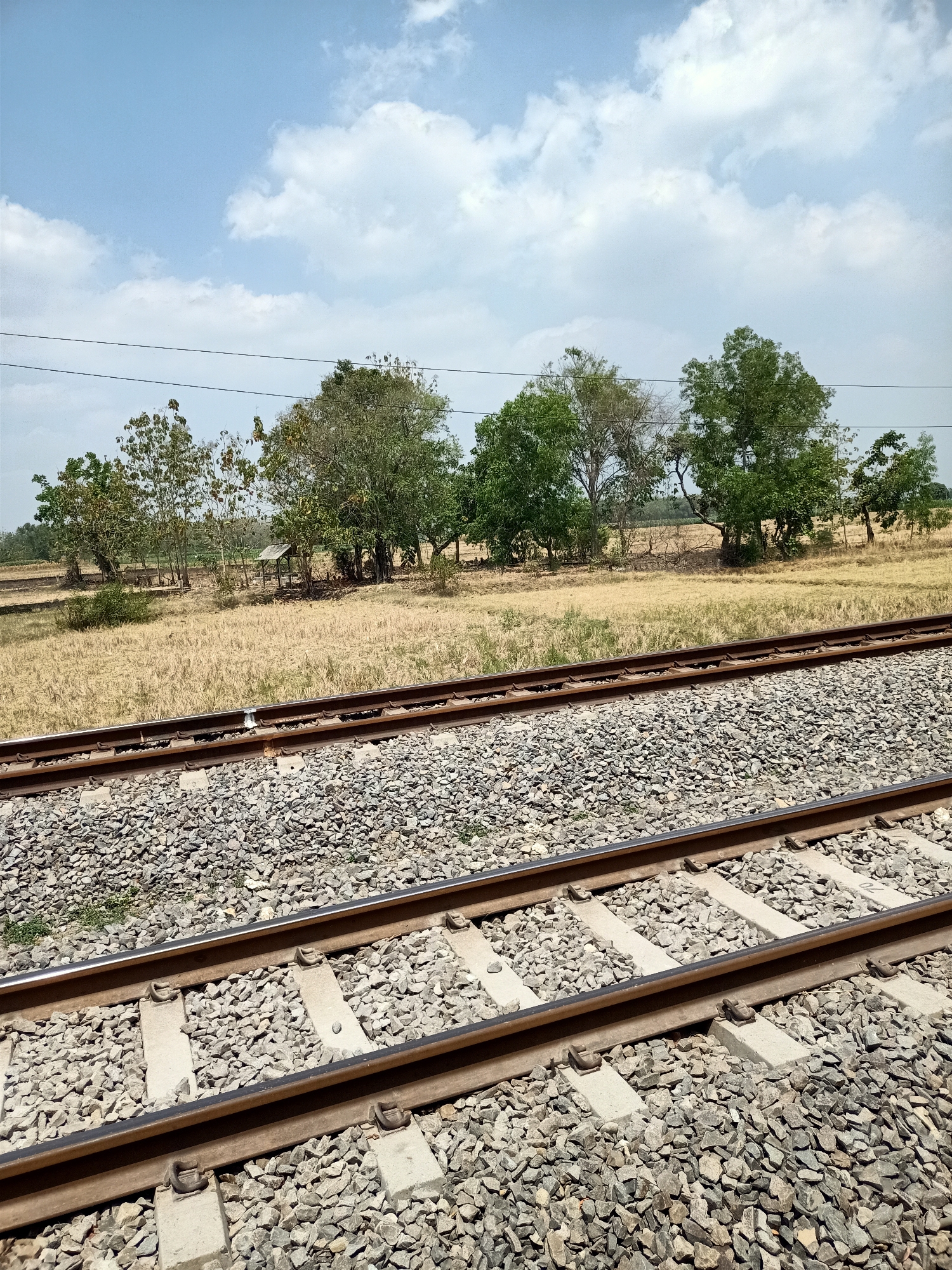 The image shows two sets of train tracks in the foreground, running diagonally from the bottom right to the upper left. The tracks are composed of gravel ballast, with concrete sleepers and steel rails. In the middle ground, there is a dry, grassy field, possibly agricultural land. Scattered trees are visible in the background, along with a small, rustic shelter. Overhead power lines stretch across the scene, supported by poles that are out of frame. The sky is blue with scattered white clouds. The scene appears to be located in an open, rural area. While the image is identified as being in Banjarjo, Indonesia, there are no specific visual cues in the image itself to confirm this location. No people or animals are present in the image.