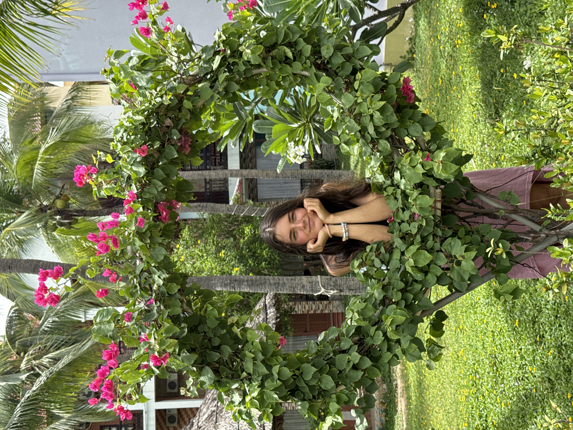 A young woman is depicted smiling brightly, positioned centrally within a natural archway formed by lush green foliage and vibrant pink bougainvillea flowers. She has long, dark hair and is looking directly at the viewer with her hands gently resting near her face. She is wearing a light pink or mauve top and has multiple bracelets on her left wrist.
The archway, heavily adorned with leaves and clusters of fuchsia-colored flowers, creates a striking frame around her. In the background, several tall palm trees with visible coconuts ascend towards a bright sky, suggesting a tropical setting. Partially visible behind the foliage are elements of buildings, possibly bungalows or resort structures, featuring windows and outdoor air conditioning units. The ground is covered in verdant green grass interspersed with numerous small yellow flowers, implying a well-maintained garden or lawn.
The woman is posing for a photograph, exuding a cheerful and relaxed demeanor. The scene is illuminated by clear, bright daylight, indicating a sunny late morning or early afternoon. The overall impression is one of happiness and tranquility in a beautiful outdoor environment. The abundance of tropical plants and the sunny conditions are consistent with the location context of Phu Thuy Ward, Vietnam. There is no visible text in the image.