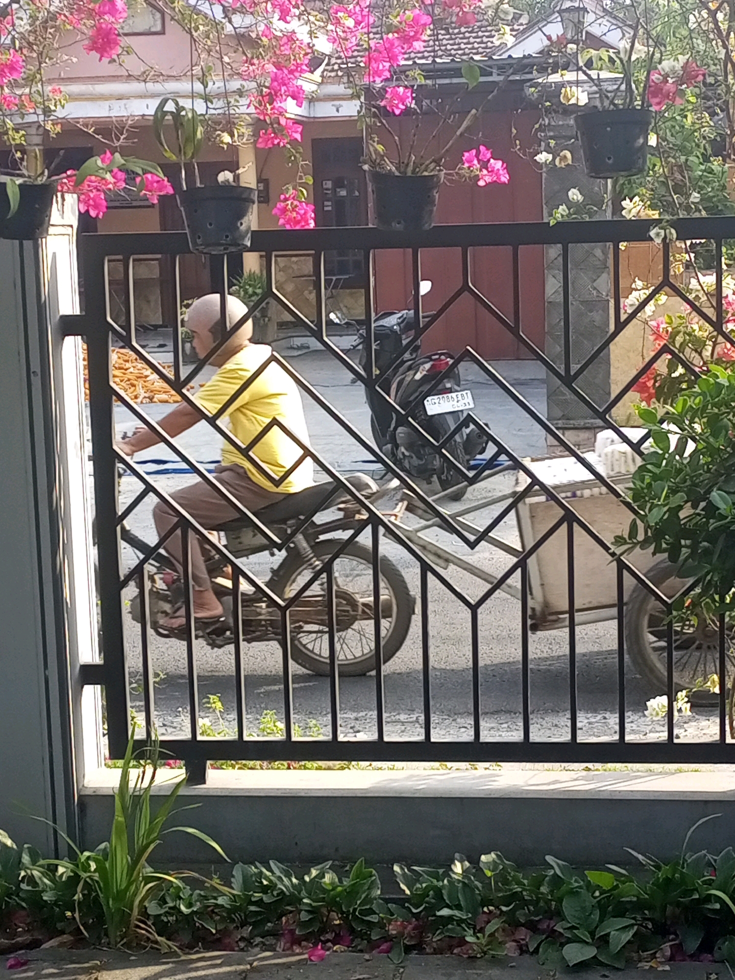 An exterior, daytime, eye-level shot captures a man riding a motorcycle with a cart attached, seen through a black metal fence. The man, who is bald and wearing a yellow t-shirt and brown pants, sits on the motorcycle and appears to be steering it. The motorcycle is black and has a license plate that reads "AG 2086 BBT". The cart is white with a silver frame and has two wheels. The motorcycle and cart are on an asphalt road, and there are several plants with pink flowers hanging from above in black pots. In the background, there is a building with a tiled roof. The scene is located in the city of Ngasem, Indonesia.