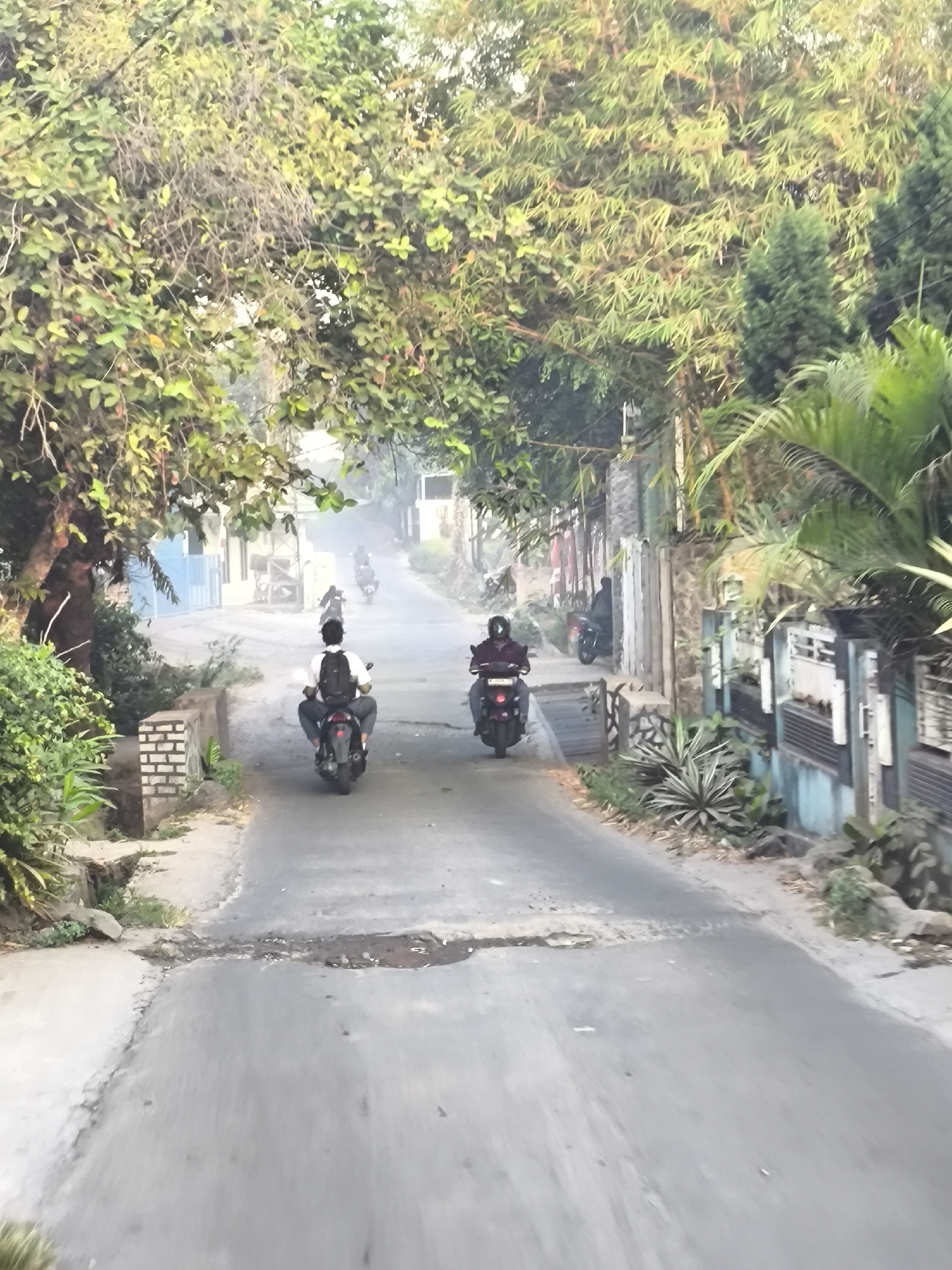The image depicts a street scene in Cilegon, Indonesia, characterized by lush greenery and residential structures. The road is paved and appears to be a two-lane street. In the foreground, a person on a motorcycle is seen from behind, traveling away from the camera. The rider is wearing a white shirt and a backpack. Further down the road, another person on a motorcycle is visible, heading towards the camera, wearing a maroon shirt and a helmet. More motorcycles are present in the background, suggesting a common mode of transportation. The street is lined with trees, some of which have dense foliage, creating a canopy over parts of the road. Buildings with fences and architectural details are visible along the sides of the street, indicating a residential area. The overall atmosphere suggests a warm, possibly humid climate, common in Indonesia, with the lighting indicating it could be early morning or late afternoon.