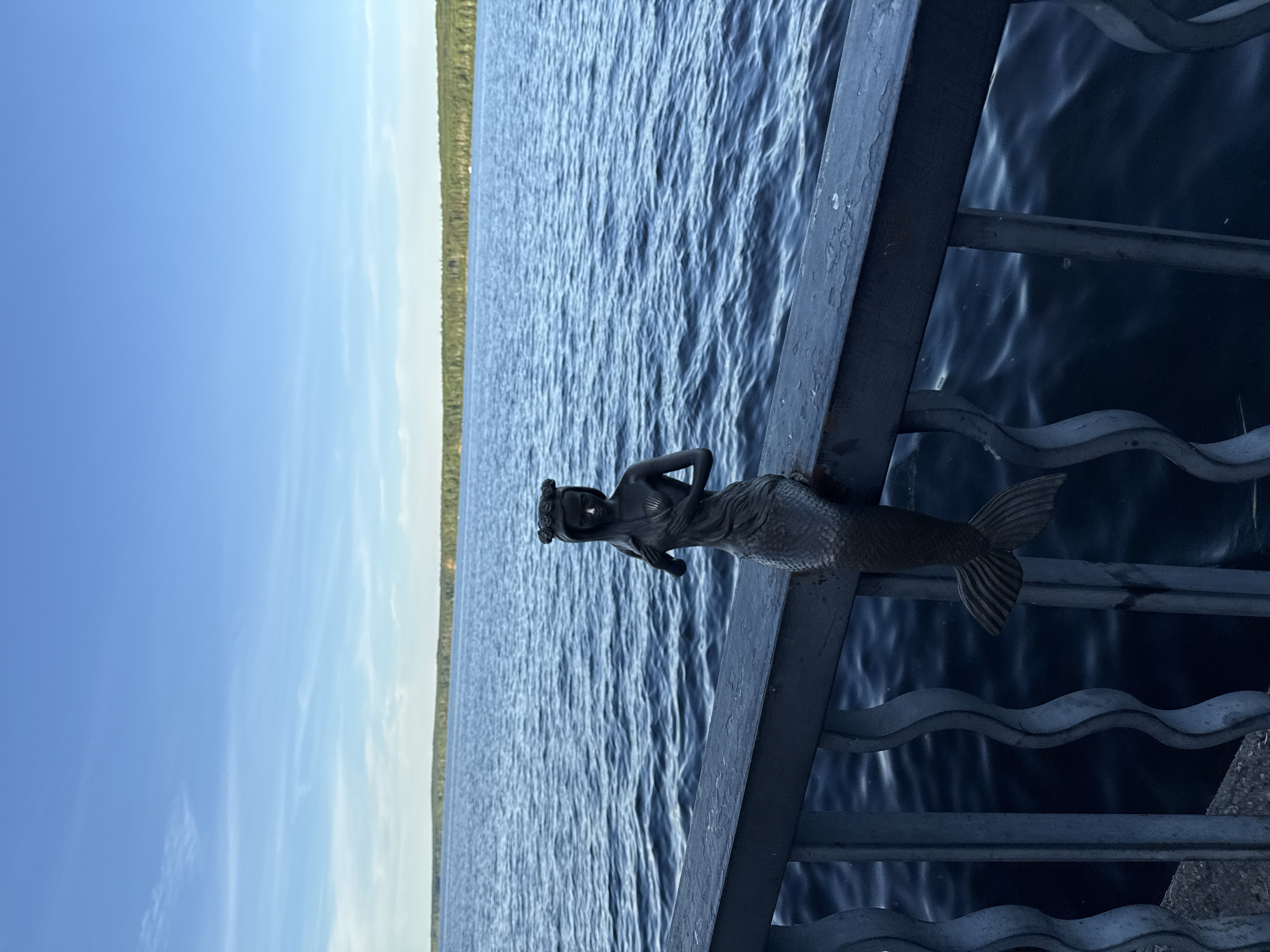 The image features a dark metal sculpture of a mermaid with a flower crown, perched on a dark metal railing. The mermaid is facing forward, with its tail resting on the railing. Behind the railing, a large body of water stretches out, reflecting the blue sky. The water is calm, with small ripples. In the distance, a thin strip of green vegetation is visible along the horizon, separating the water from the sky. The sky is a clear blue with some wispy white clouds. The overall scene suggests a scenic outdoor location, possibly a waterfront promenade or park. The lighting indicates it's daytime, likely a sunny day. There is no visible text in the image.
