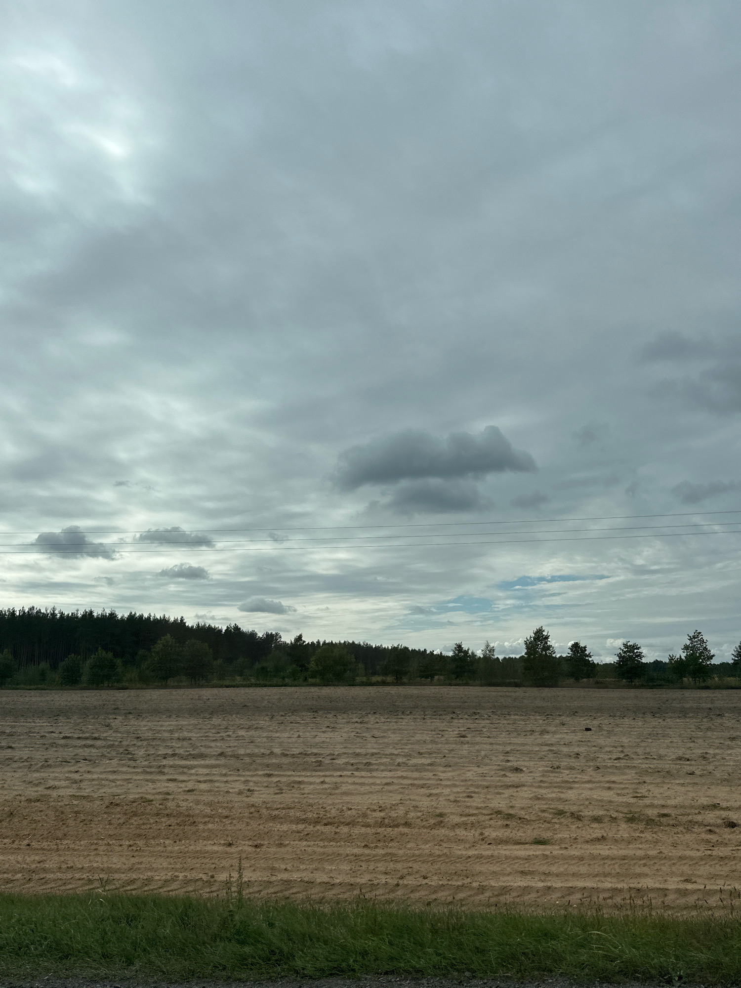 The image depicts an overcast sky over a cultivated field. The field is bare earth with visible tilling lines, suggesting it has recently been prepared for planting or has been harvested. In the distance, a dense line of trees forms a dark horizon, with individual trees scattered in front of it. Several power lines are visible stretched horizontally across the middle ground of the image. The foreground shows a strip of green grass and a dark, rough surface, possibly a road or path. The overall atmosphere is subdued due to the cloudy weather. The location is identified as Krasnaŭski sel’ski Savet, Belarus.
