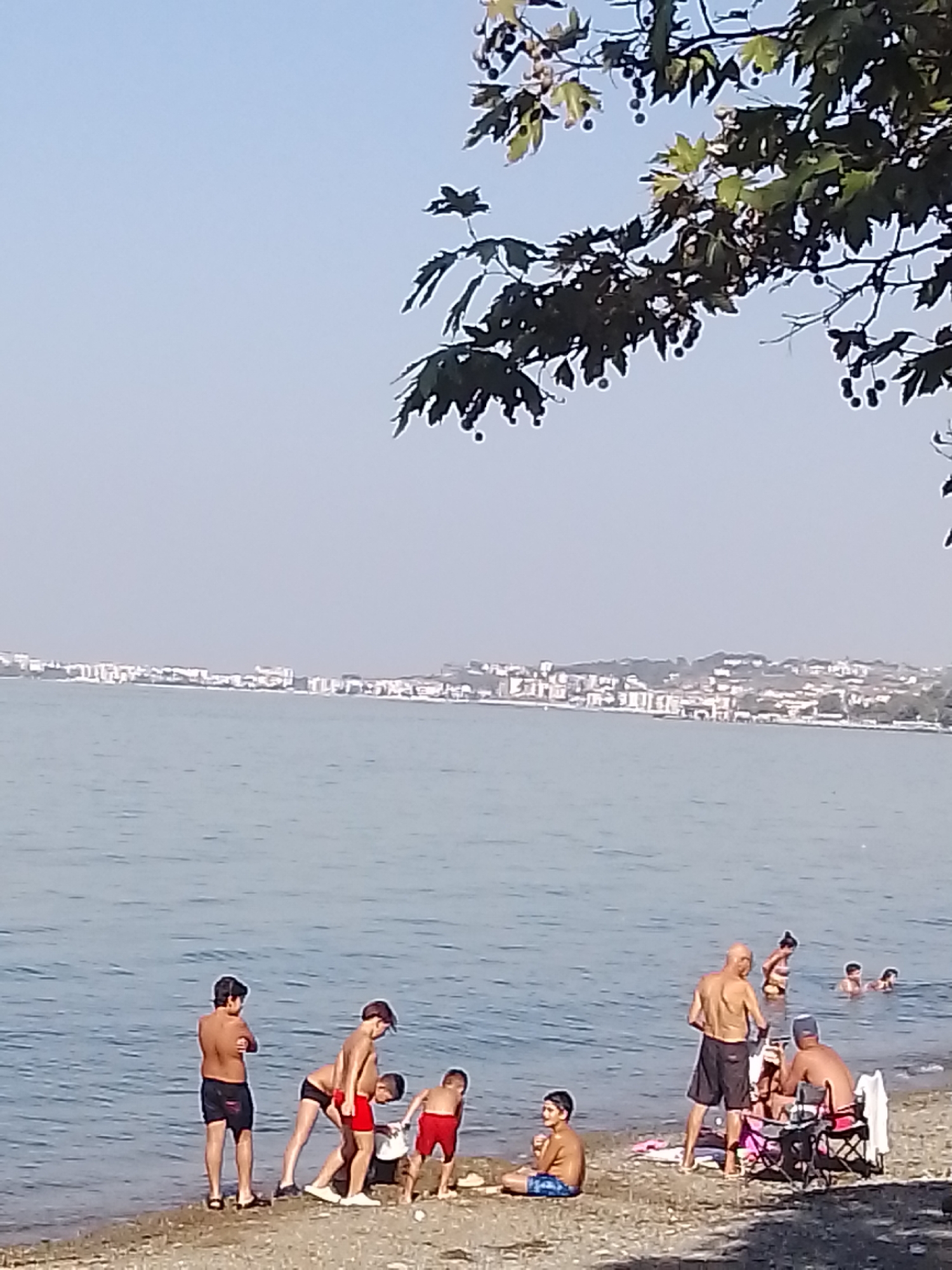 The image depicts a sunny day at a beach in Çınarcık, Turkey. The foreground shows a pebbly shoreline with several people, primarily children and adults, engaged in various beach activities. Some children are playing near the water's edge, while others are standing or sitting on the beach. Adults are seen standing, sitting, and interacting in groups. The middle ground is dominated by a large body of calm, blue water. In the background, a distant cityscape with numerous buildings is visible along the coastline, extending into the horizon under a clear, hazy sky. Overhead, the branches of a leafy tree with small, dark fruits are visible in the upper portion of the frame, casting shadows. The scene conveys a typical summer day at a seaside town.