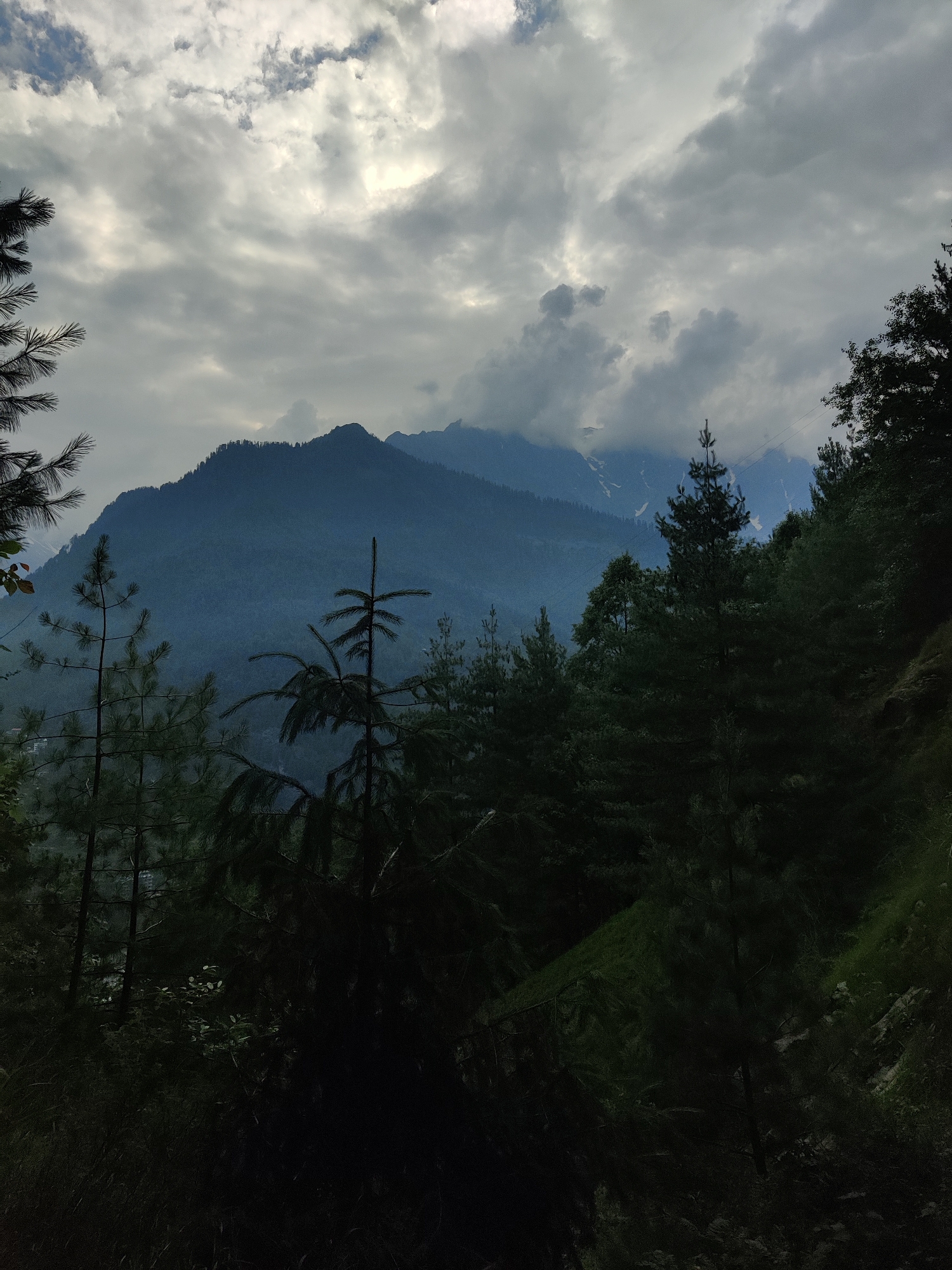 The image depicts a scenic view of a mountain range in Vashisht, India, under a dramatic, cloudy sky. The foreground is dominated by dark, silhouetted pine trees, creating a sense of depth and framing the distant mountains. The mountains themselves are shrouded in a bluish haze, with hints of snow visible on their upper slopes. The sky is filled with heavy, grey clouds, with patches of brighter light suggesting the sun is attempting to break through. This creates a moody and atmospheric scene, possibly indicating a change in weather. The time of day appears to be either early morning or late afternoon, given the low light and the soft glow of the sky. There are no people or specific objects visible in the frame, emphasizing the natural grandeur of the landscape. The lush greenery of the trees in the foreground contrasts with the starkness of the mountains, further enhancing the visual appeal. The overall impression is one of serene, untamed natural beauty, with a touch of mystique due to the atmospheric conditions.