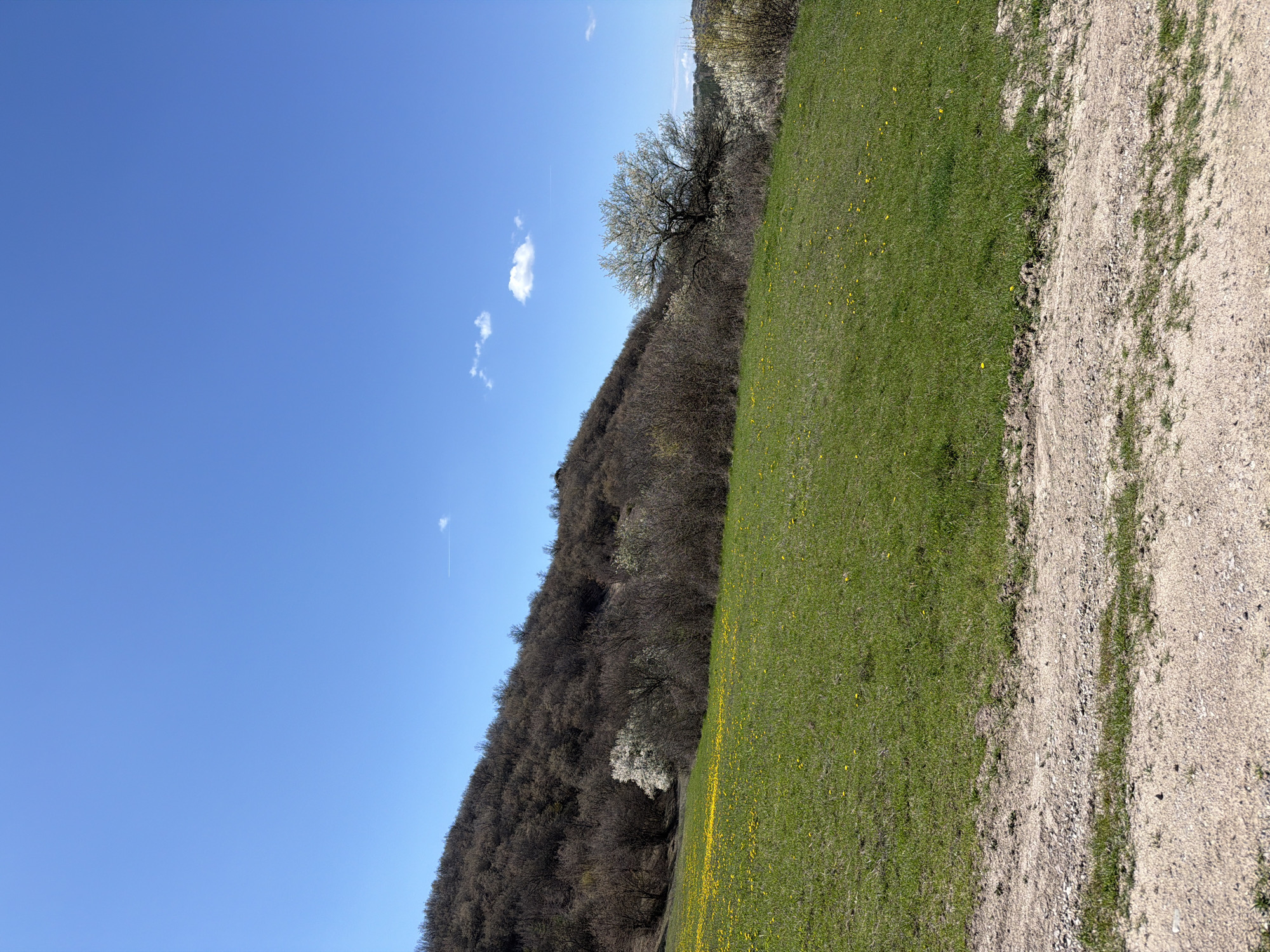 The image shows a landscape on a sunny day. The sky is a clear blue with a few small, scattered clouds. On the right side of the image is a dirt road, adjacent to a green field dotted with yellow flowers. A hillside covered in trees and shrubs, with some trees showing signs of flowering, rises to the left of the field. The location is Panagyurishte, Bulgaria. No people or animals are visible in the image.