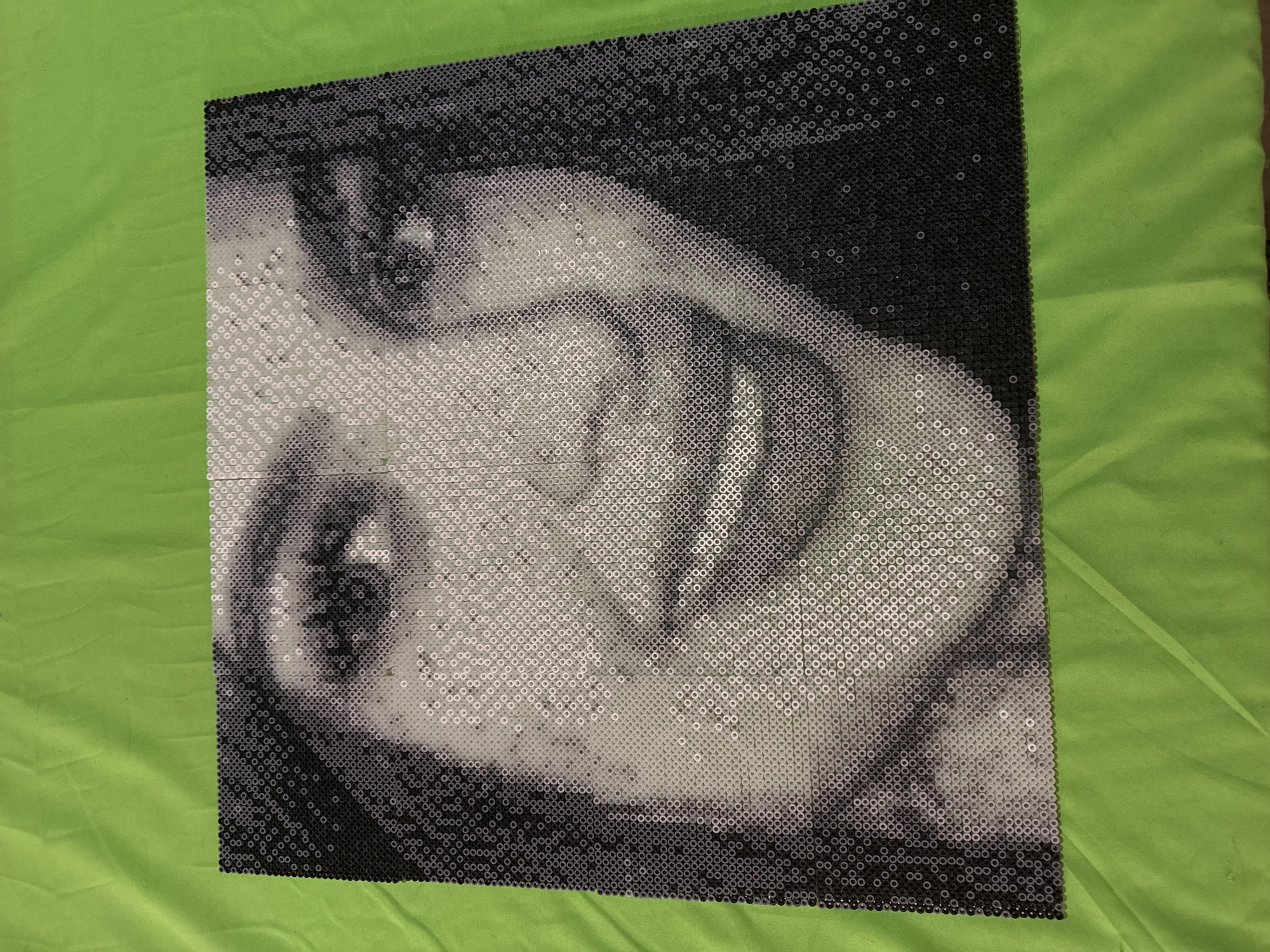 The media file presents an artistic rendering of a woman's face, meticulously crafted from numerous small, circular beads or sequins in various shades of black, white, and gray. The artwork, which exhibits a distinctive pixelated or mosaic appearance, focuses on one side of the woman's face, encompassing her eye, cheek, and mouth, with a hand seemingly covering part of her lower face. The monochromatic palette effectively creates depth, shading, and highlights, forming a recognizable portrait, possibly an iconic figure.
This bead art is displayed horizontally on a bright, light green fabric surface, which appears crumpled, suggesting it might be a piece of cloth, a sheet, or a soft covering. The green background provides a vivid contrast to the grayscale tones of the artwork. The entire image is slightly tilted. The individual beads are arranged in a precise grid, contributing to the overall visual texture and the unique medium.
The photograph captures a static object—an artwork—rather than an activity. No specific time of day or weather conditions are indicated within the image. The location context for this media file is Puebla, Mexico. There is no visible text present in the image. The lighting is soft and even, highlighting the details of both the artwork and the fabric without casting harsh shadows. The expression on the visible parts of the face conveys a sense of introspection or a subtle, perhaps melancholic, emotion.