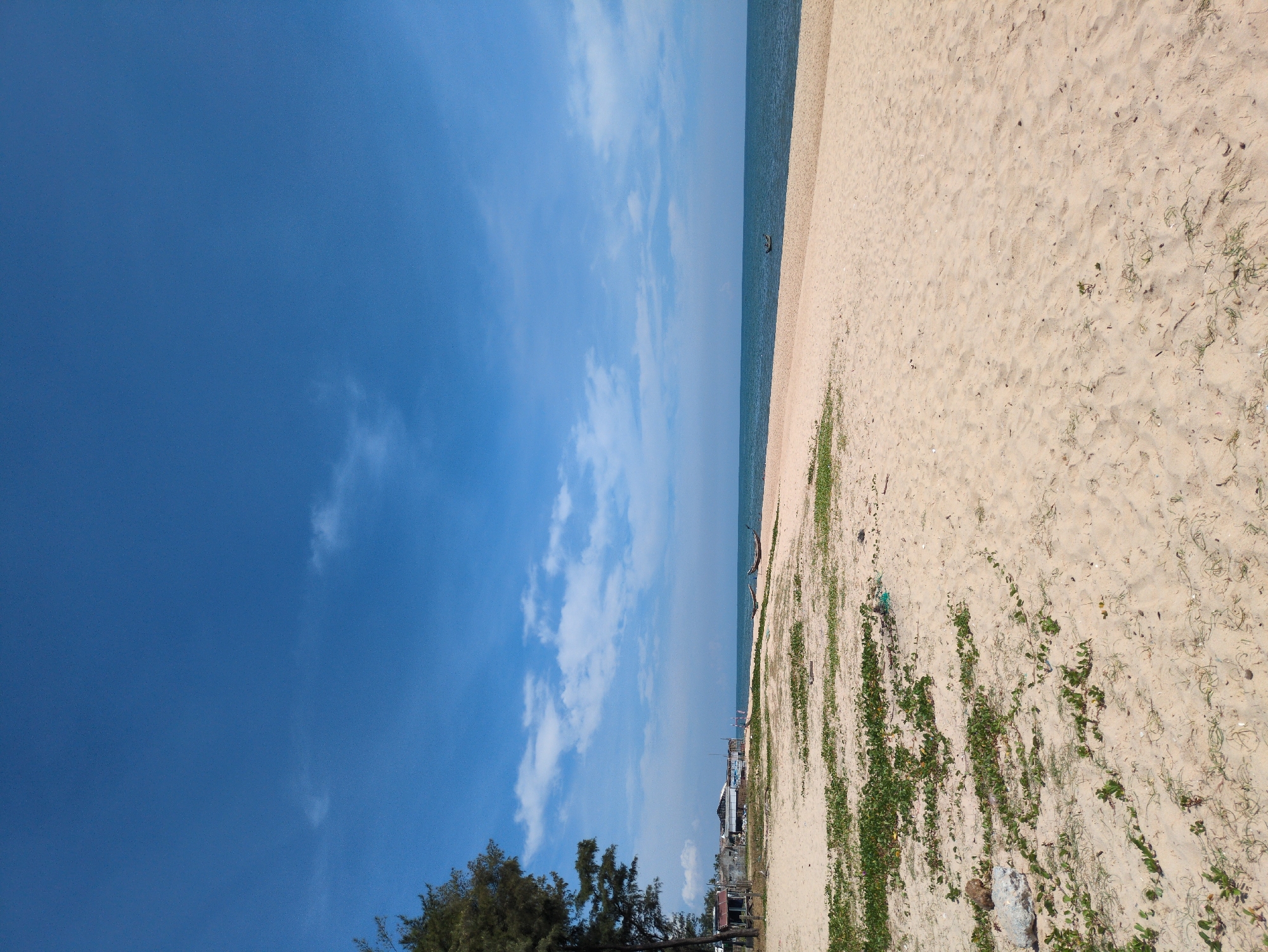 The image depicts a wide, sandy beach in Thuận An Ward, Vietnam, under a clear blue sky with scattered white clouds. The foreground is dominated by light-colored sand with patches of low-lying green vegetation growing sparsely. Some debris, including a grey rock and a piece of blue netting, are visible on the sand.
In the mid-ground, a calm, blue ocean stretches to the horizon. Two small, dark fishing boats are present on the water, one closer to the shore and the other further out. Along the left side of the mid-ground, there is a row of buildings and structures, some appearing to be simple dwellings or small shops, with a dense cluster of pine trees framing the left edge of the image.
The overall scene is one of a tranquil, coastal environment, likely in the morning or afternoon given the bright sunlight. There are no people clearly visible in the image. The focus is on the natural landscape of the beach and sea, with man-made elements present but not dominating the scene.