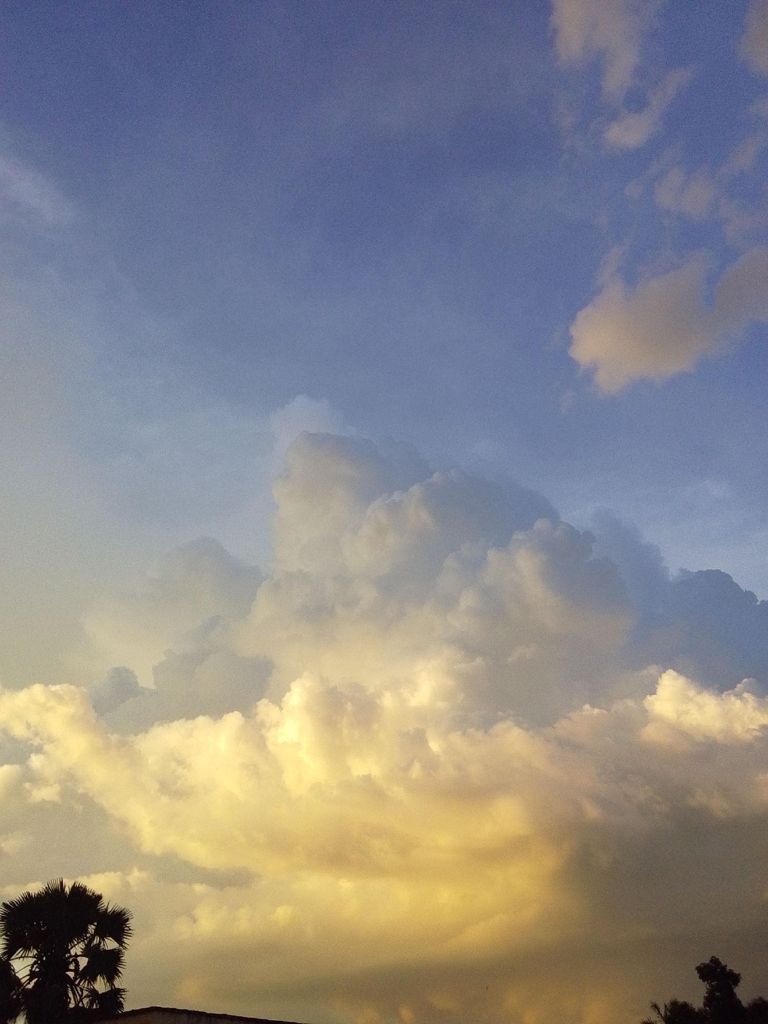 An outdoor, horizontal, medium shot captures a sky filled with dramatic, textured clouds illuminated by warm, golden light from below, suggesting either sunrise or sunset. The clouds are dense and voluminous, with some areas appearing bright yellow and others shaded in grey and purple. The sky above is a clear, soft blue. In the lower left corner, a silhouetted palm tree with spiky fronds stands against the bright sky, and a dark, indistinct structure, possibly a building, is visible at the bottom edge. The lighting creates a stark contrast between the silhouetted foreground elements and the vividly lit clouds.