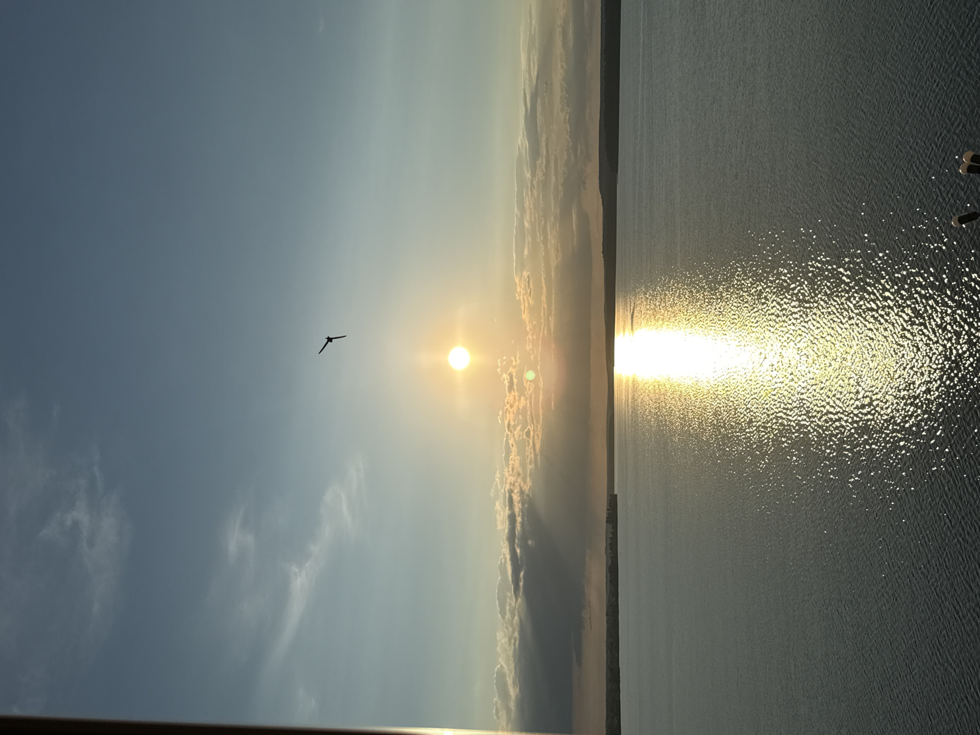 The image captures a serene sunset over a wide body of water, likely the Votkinsk Reservoir, in Votkinsk, Russia. The sky transitions from a pale blue at the top to warmer hues of yellow and orange near the horizon. A single, dark silhouette of a bird is captured in flight against the expansive sky. The sun, a bright orb, is positioned centrally, casting a brilliant, shimmering reflection across the water's surface. Scattered clouds, illuminated by the setting sun, add texture to the sky. In the distance, a faint, dark line of trees or land marks the far shore. The water itself appears calm, with subtle ripples reflecting the light. In the foreground, out of focus, are the tops of two dark cylindrical objects, possibly part of a railing or structure.