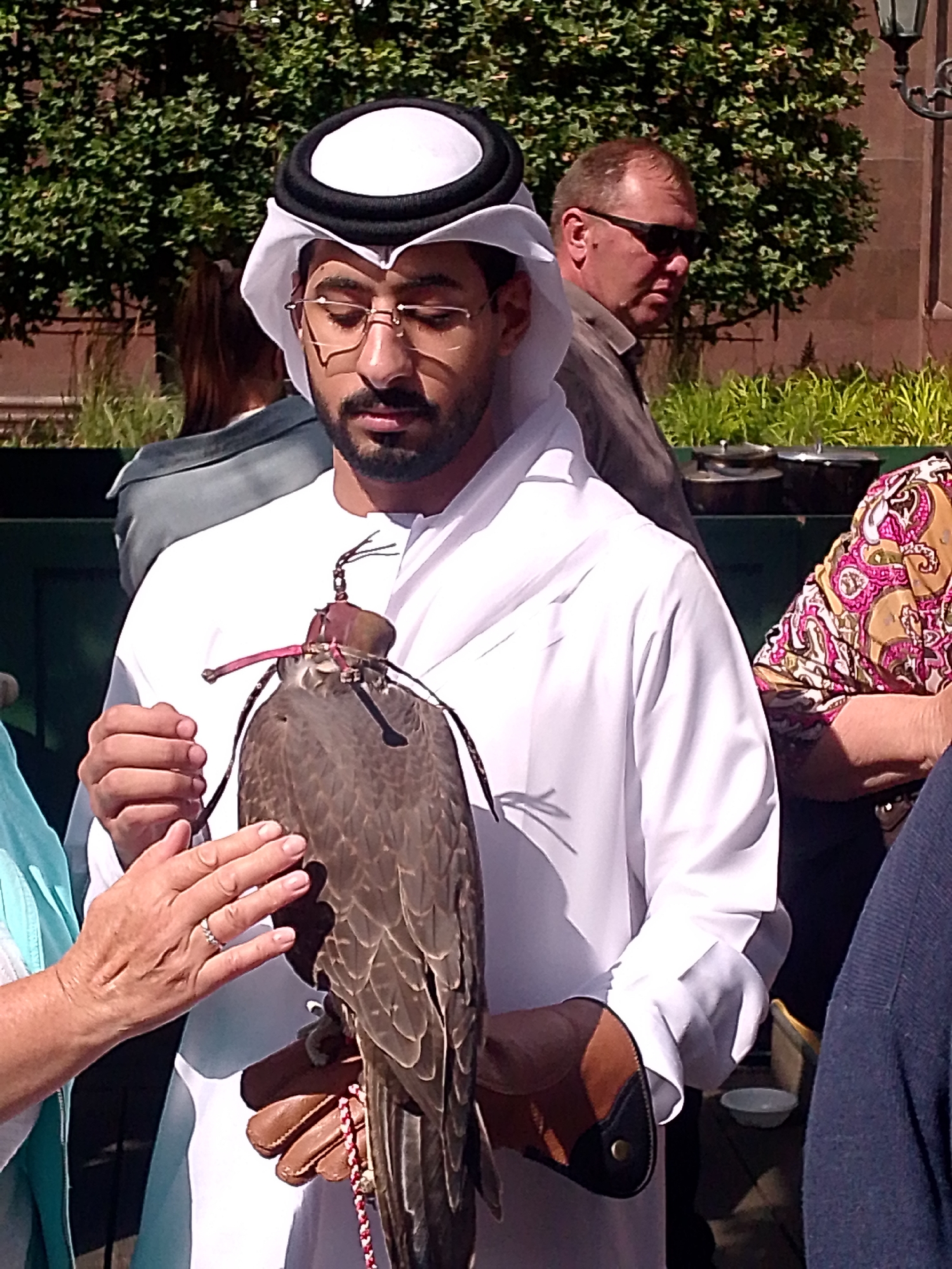 In Moscow, Russia, a man dressed in a white thawb and ghutra, traditionally worn in the Middle East, stands outdoors holding a falcon. The falcon is fitted with a jess, a leather strap used to tether it. Another person, partially visible, has a hand resting on the falcon, wearing a ring. In the background, other individuals are present, some wearing sunglasses. The scene appears to be an event or gathering, possibly a cultural exhibition or demonstration.