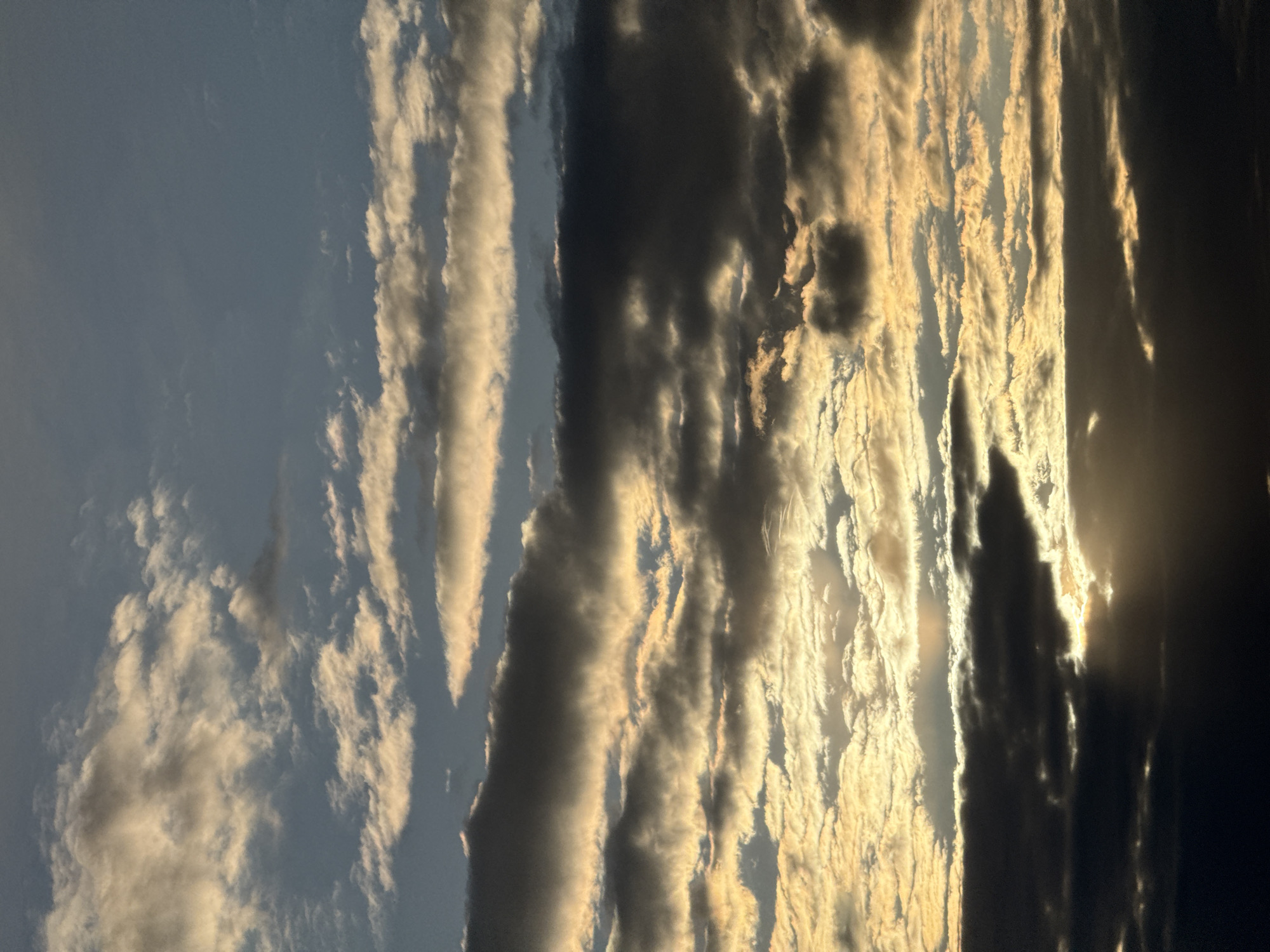 The image captures a dramatic sky scene dominated by clouds, strongly suggesting either sunrise or sunset. The sky is oriented vertically. On the left side, the upper sky is a clear, serene blue with sparse, soft white clouds. As the view progresses rightward, the cloud formations become denser and more pronounced, appearing in long, somewhat parallel bands.
A powerful, warm, golden light originates from the right side of the frame, indicating the position of the low-lying sun. This light intensely illuminates the edges and surfaces of many clouds, causing them to glow with bright gold, orange, and yellow hues. In striking contrast, other cloud sections and large masses are cast in deep shadow, appearing dark gray or almost black. The sun's light appears to pierce through gaps in the clouds on the far right, creating brilliant highlights.
The clouds exhibit varied textures, ranging from wispy and soft on the left to more defined, rippled, and corrugated where they catch the direct light. The interplay of strong light and deep shadow creates a profound sense of depth and atmospheric drama. No human figures, objects, or visible text are present in the image. The scene depicts a cloudy sky, likely with altocumulus or stratocumulus formations, at either dawn or dusk. The location context provided is Perm, Russia.
