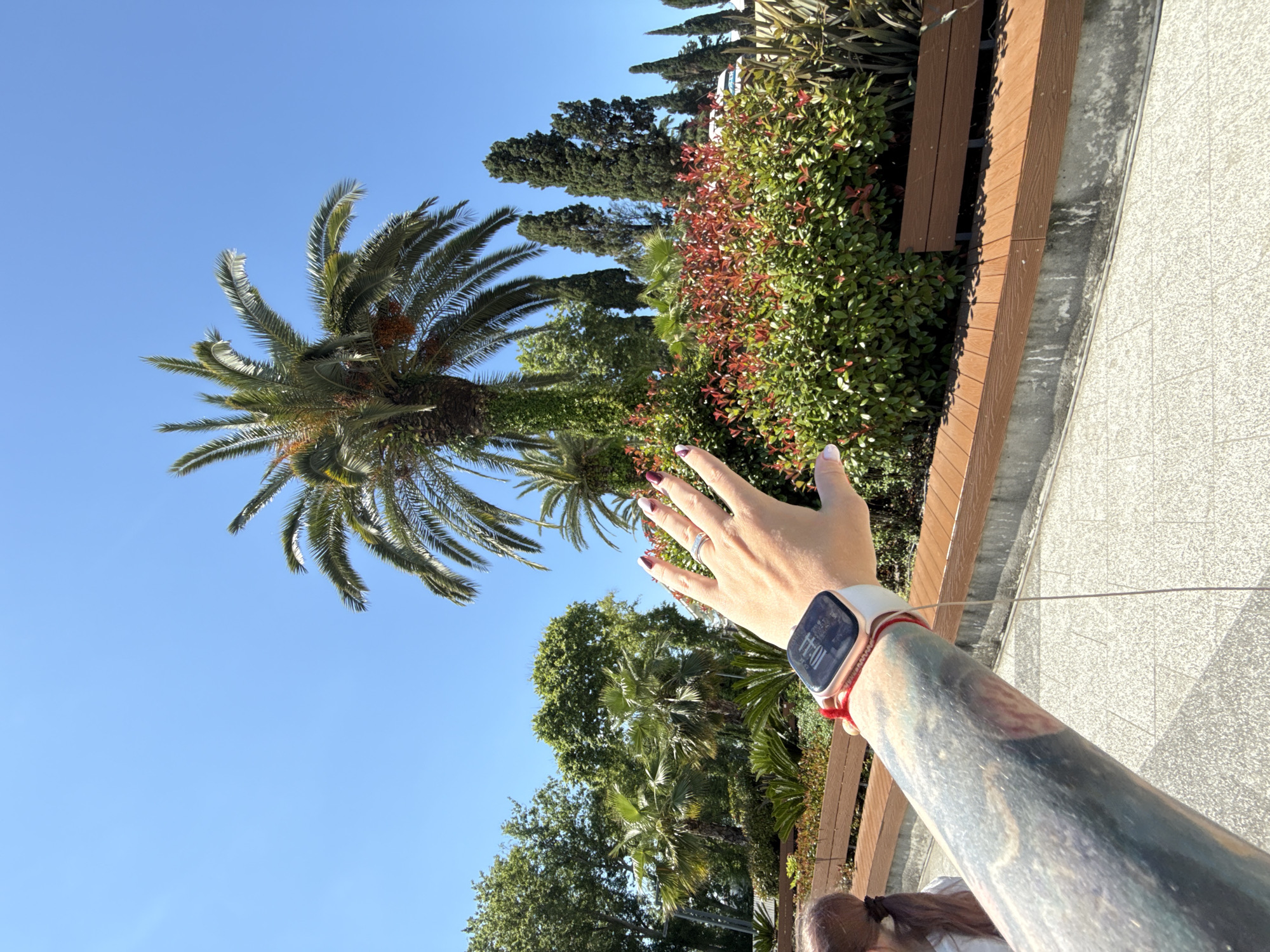 The image shows a person's arm extended towards a clear blue sky, with a large palm tree dominating the left side of the frame. The palm fronds are lush and green, with some evidence of fruit. Behind the palm tree, there is a dense arrangement of smaller trees and bushes, some with vibrant red leaves, suggesting a warm climate and possibly autumn. In the background, tall, dark green coniferous trees create a contrasting texture.
The person's hand is visible, with manicured nails painted in a deep red color. A delicate ring is worn on one finger, and a smartwatch with a light-colored band is strapped to their wrist. The smartwatch face displays the time as 10:44. The person's arm is heavily tattooed with a colorful, abstract design. A thin red string is tied around the wrist above the watch.
To the right of the greenery, there is a wooden bench and a paved walkway. The pavement has a textured, light gray surface, with some darker, possibly wet or weathered, patches. The overall scene suggests an outdoor setting, likely in a park or garden, on a bright and sunny day, given the clear blue sky and the strong shadows cast by the vegetation and bench. The orientation of the image, with the sky at the top and the ground at the bottom, implies the photo was taken looking upwards or from a slightly elevated position. The context provided places the location as Sochi, Russia, which is known for its subtropical climate and palm trees.
