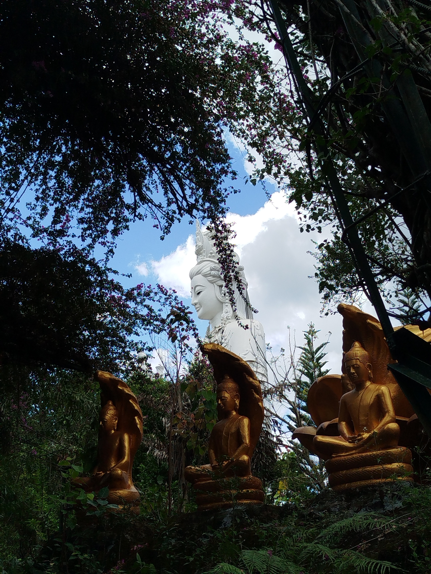 Captured in Nam Ban, Vietnam, the image presents a landscape featuring Buddhist statuary against a sky dappled with clouds. A large white statue of a figure with serene features stands in the background, partially obscured by foliage. Three gold-colored statues of seated Buddhas are positioned in the foreground, with each statue shown seated in meditation atop what appears to be a coiled snake figure. The scene is framed by trees and plant life, which contribute to a natural, outdoor setting. The overall composition and statuary suggest a site of religious or cultural significance.