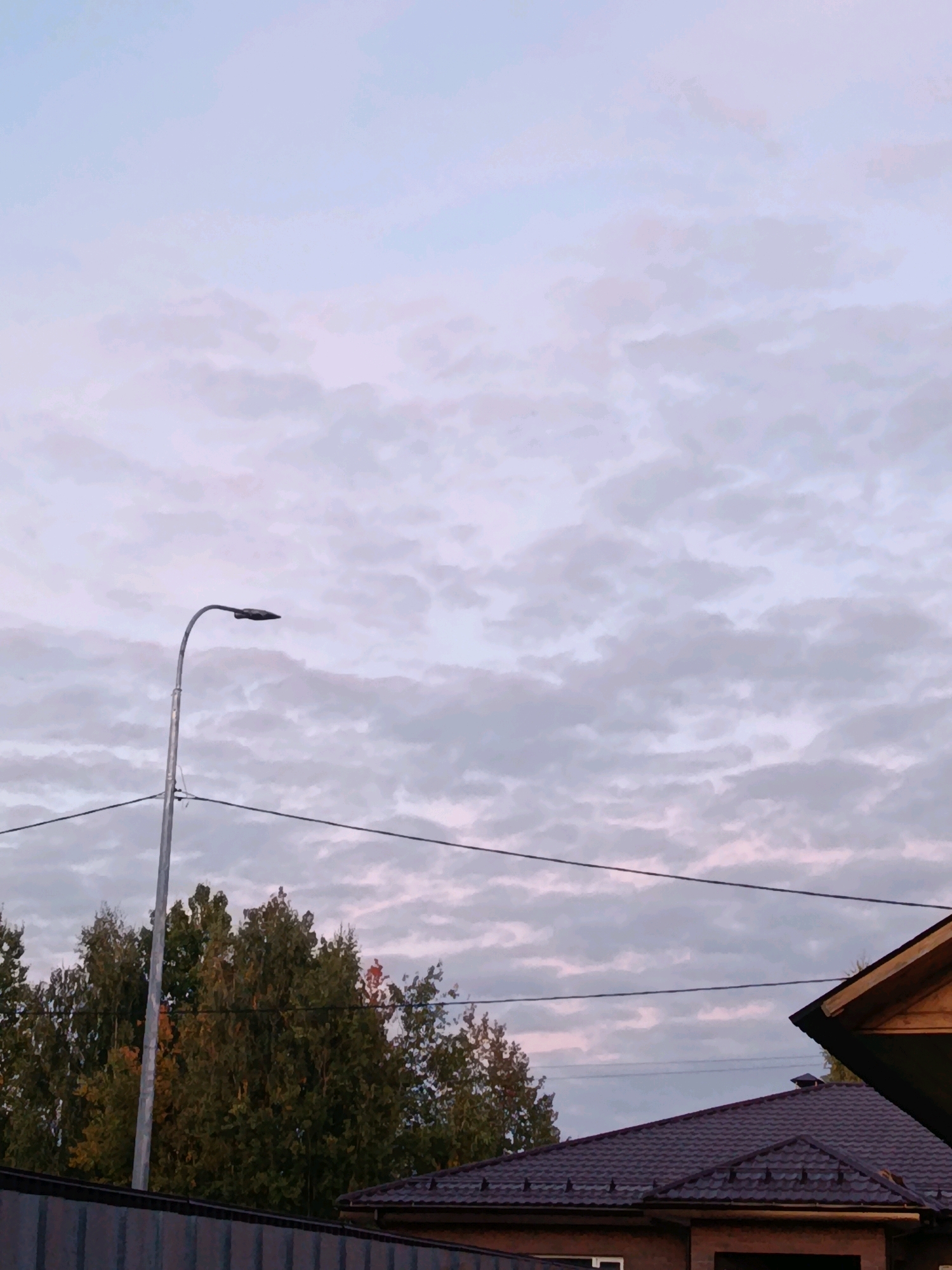 This is a daytime, medium-angle exterior shot of a suburban scene in Vereya, Russia. The sky is overcast with pale pink and blue hues, indicating either sunrise or sunset. A tall, silver lamppost with a dark fixture stands prominently on the left side of the frame, its arm extending over power lines.
In the middle ground, a dense line of green and autumnal-colored trees forms a natural barrier. Behind the trees, the dark, tiled roof of a house with exposed wooden eaves is visible on the right. In the foreground, a dark grey, ribbed fence runs horizontally across the bottom of the image, partially obscuring a darker, tiled roof with visible ventilation. The overall atmosphere is quiet and still, suggesting a residential area.