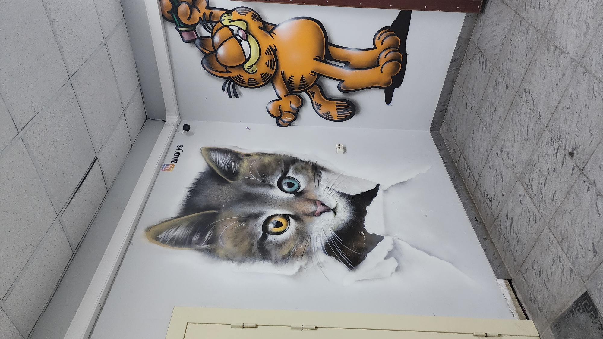 The image shows a wall in what appears to be an indoor location. On the upper part of the wall is a cartoonish depiction of the character Garfield, lying on his side. Below that, there's a painted image of a cat with heterochromia, where one eye is blue and the other is yellow. The cat is painted as if it is emerging from a torn or ripped surface. To the side of the cat, there is an Instagram logo with the username @ZNACK_MSI written next to it. Part of a door or cabinet is visible at the bottom of the image, with hinges showing. Above Garfield is a brown plank. To the right is a gray tile floor.
I am unable to provide the specific location in Moscow, Russia.
