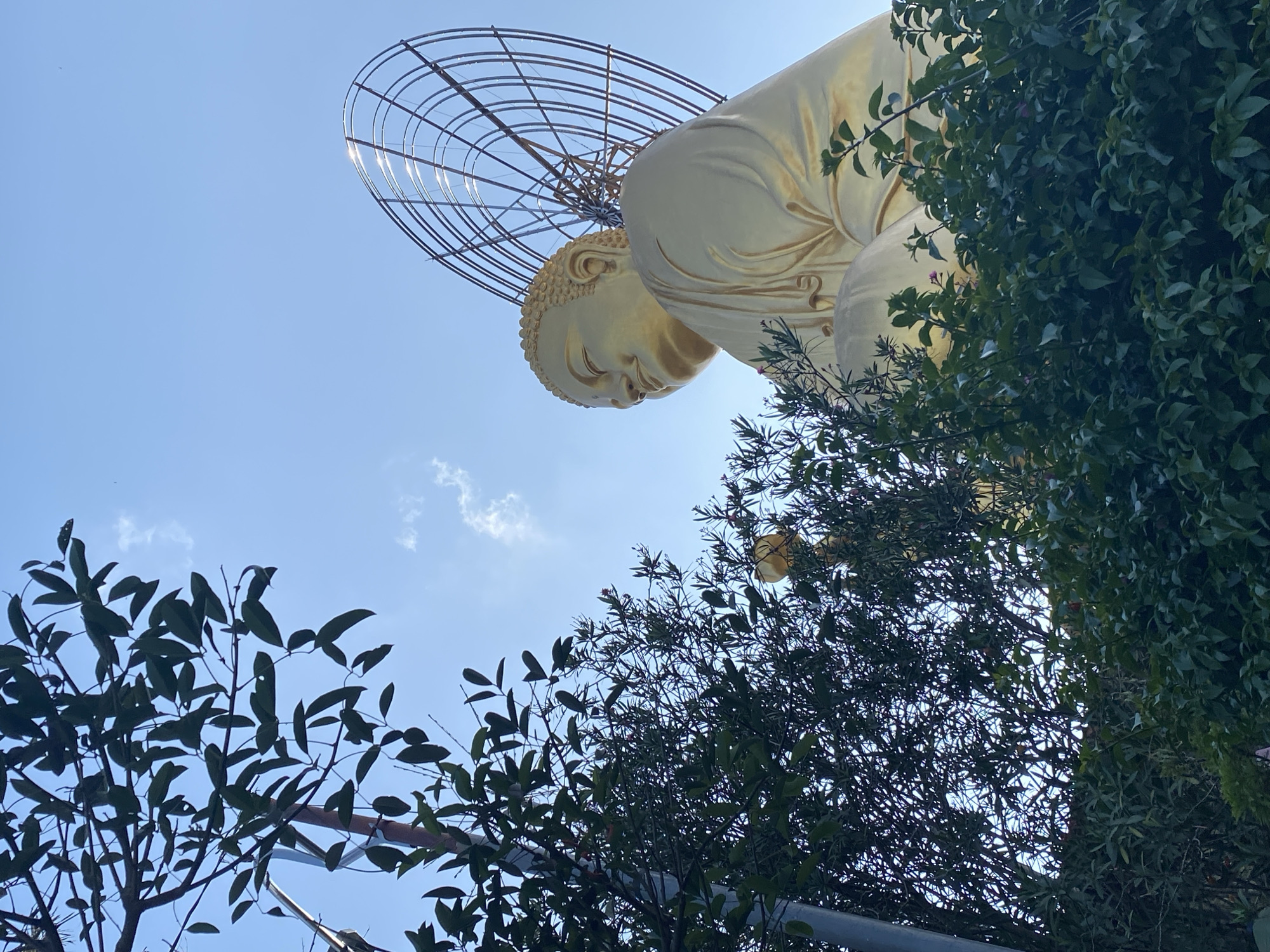 An upward-angle shot features a large, golden Buddha statue against a bright blue sky with scattered clouds. The statue is partially obscured by lush green foliage in the foreground. The Buddha is seated, with its head turned to the left and a large, circular, cage-like structure behind its head. The statue appears to be made of a smooth, reflective material, possibly gold-plated. The leaves in the foreground are dark green and out of focus, providing a stark contrast to the bright statue and sky. To the left of the statue, a metal pole or structure is visible through the leaves. The overall scene suggests an outdoor setting, likely in a temple or park, with the sky suggesting it is daytime. The specific location is identified as Lâm Viên - Đà Lạt, Vietnam, implying this is a significant landmark or tourist attraction in that city.