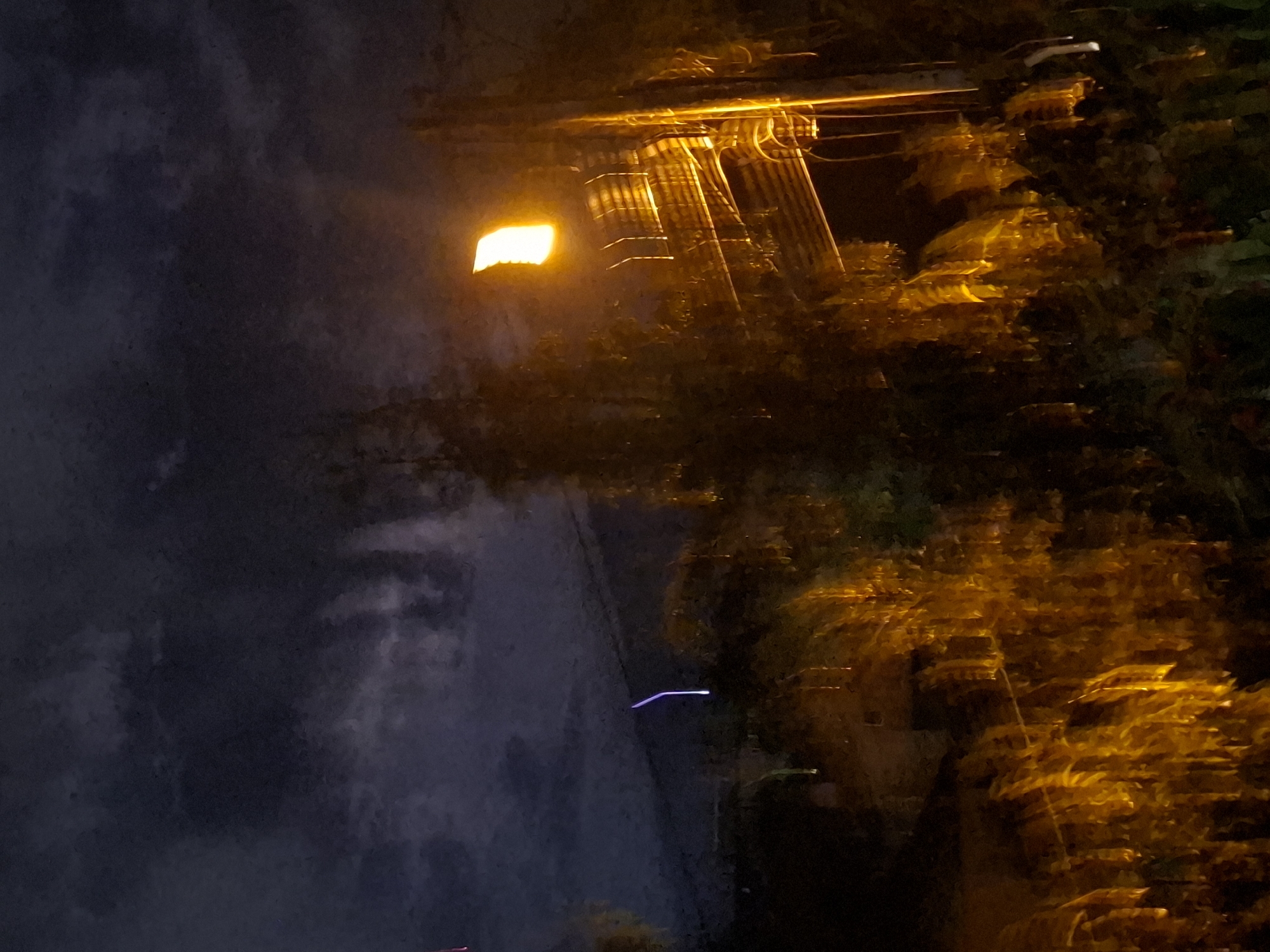 This nighttime image depicts an urban or semi-urban scene in Sofia, Bulgaria, characterized by a prominent artificial light source and atmospheric effects. A bright, intensely glowing street light, emitting a strong yellow-orange light, dominates the upper right quadrant, casting its illumination across utility poles or structures and surrounding foliage. These structures and the dense trees or bushes are rendered with significant motion blur, transforming branches and leaves into streaks and patches of golden light.
The left side of the frame features a dark, textured sky, suggesting cloud cover or a misty atmosphere, which contributes to the overall hazy quality of the image. A distinct, thin, glowing purple-blue streak is visible in the bottom-middle left, likely a light trail from a moving object such as a vehicle's lights or another light source captured during a long exposure. The entire scene is marked by a dreamlike quality due to the pervasive motion blur and the strong contrast between the bright artificial light and the deep darkness of the night. No specific activities or visible text are discernible. The image conveys a sense of quiet ambience under the glow of streetlights at night.
