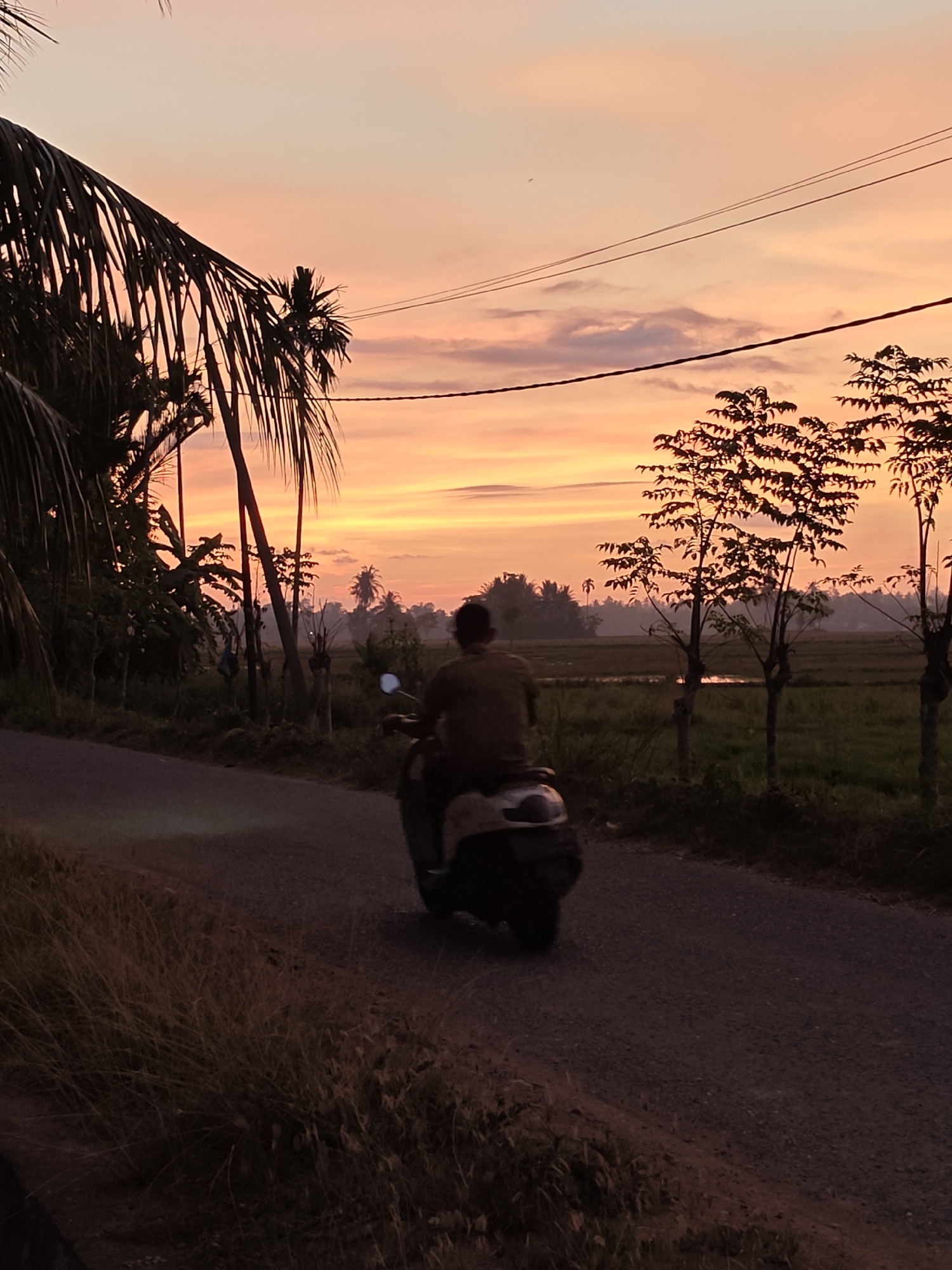 A person rides a scooter down a paved road at sunset in Meunasahalue, Indonesia. The sky is a vibrant gradient of orange, pink, and yellow, with wispy clouds. Palm trees and other foliage line the left side of the road, silhouetted against the colorful sky. On the right side, a field of green crops stretches into the distance, with several slender trees dotting the landscape. Electrical wires run across the upper portion of the image. The overall mood is peaceful and serene, evoking the quiet beauty of a tropical evening. There is no visible text in the image.