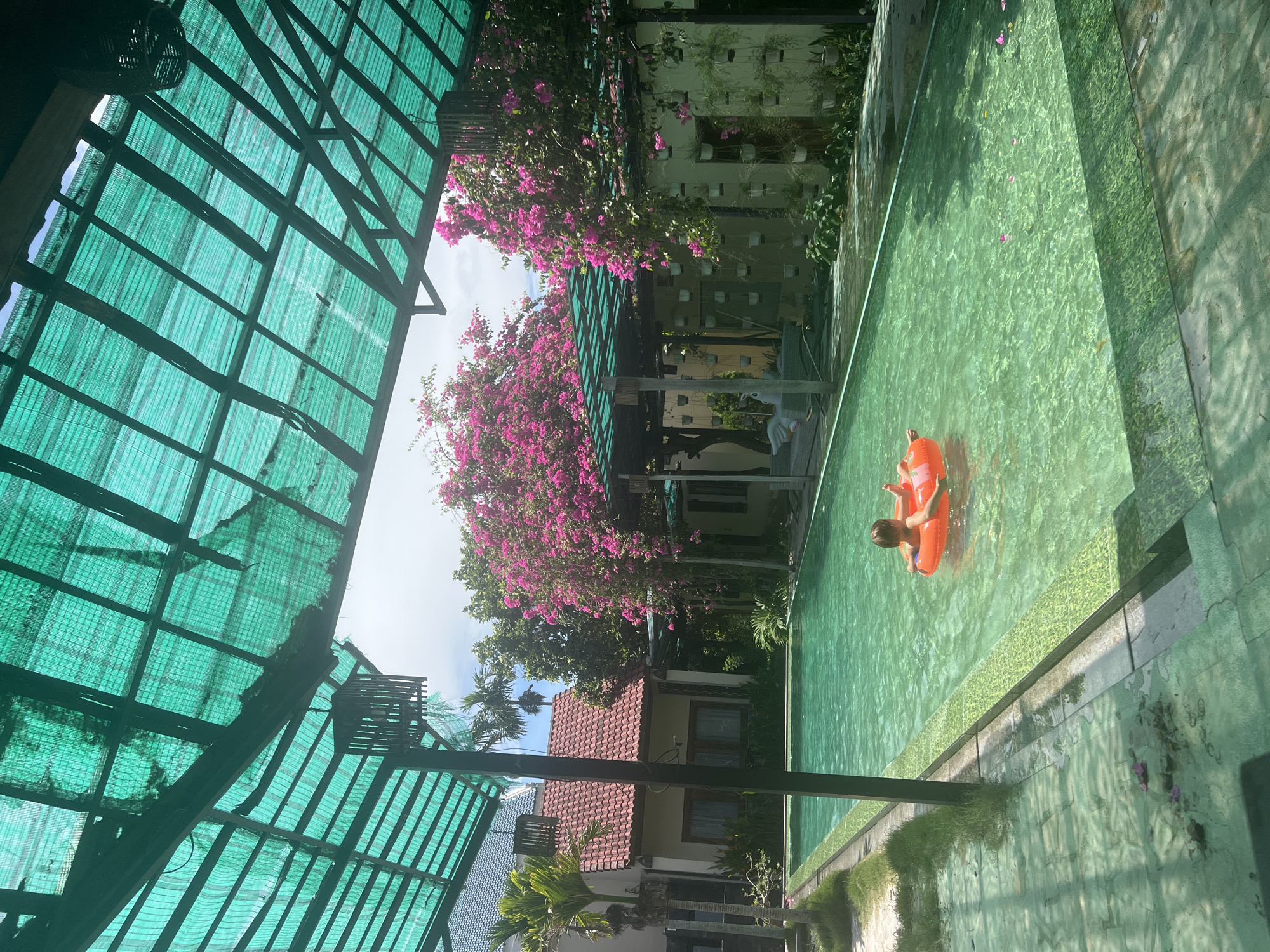 A young child floats on an orange inner tube in a bright green swimming pool. The pool is bordered by grass and tiled pathways, and is partially covered by a green, lattice-like structure. In the background, buildings with red tile roofs are visible, along with lush green trees and vibrant pink bougainvillea flowers. The scene is likely a resort or guesthouse in Hoi An, Vietnam, judging by the architecture and vegetation.