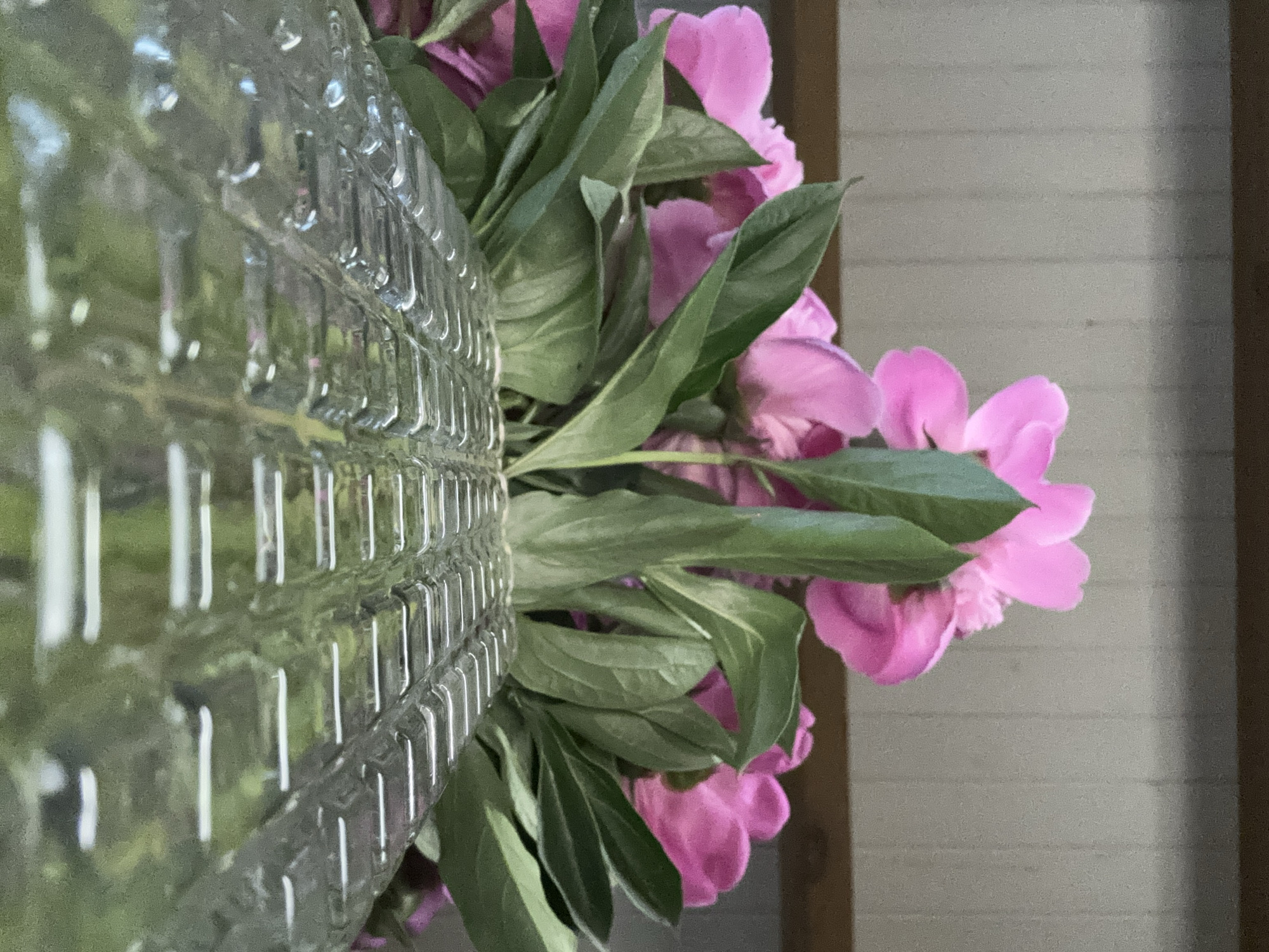 A close-up, slightly tilted, still-life shot presents a clear, textured glass vase filled with pink peonies and lush green leaves. The vase, positioned on the left, occupies about one-third of the frame and features a grid-like pattern in its design. The flowers and leaves, situated on the right, spill out of the vase, exhibiting varying shades of pink and green. The background consists of light-colored, horizontal paneling, suggesting an interior wall. A dark wooden frame is visible on the right edge of the paneling. The specific location within the city of Chaikovsky, Russia is not discernible from the provided visual information.