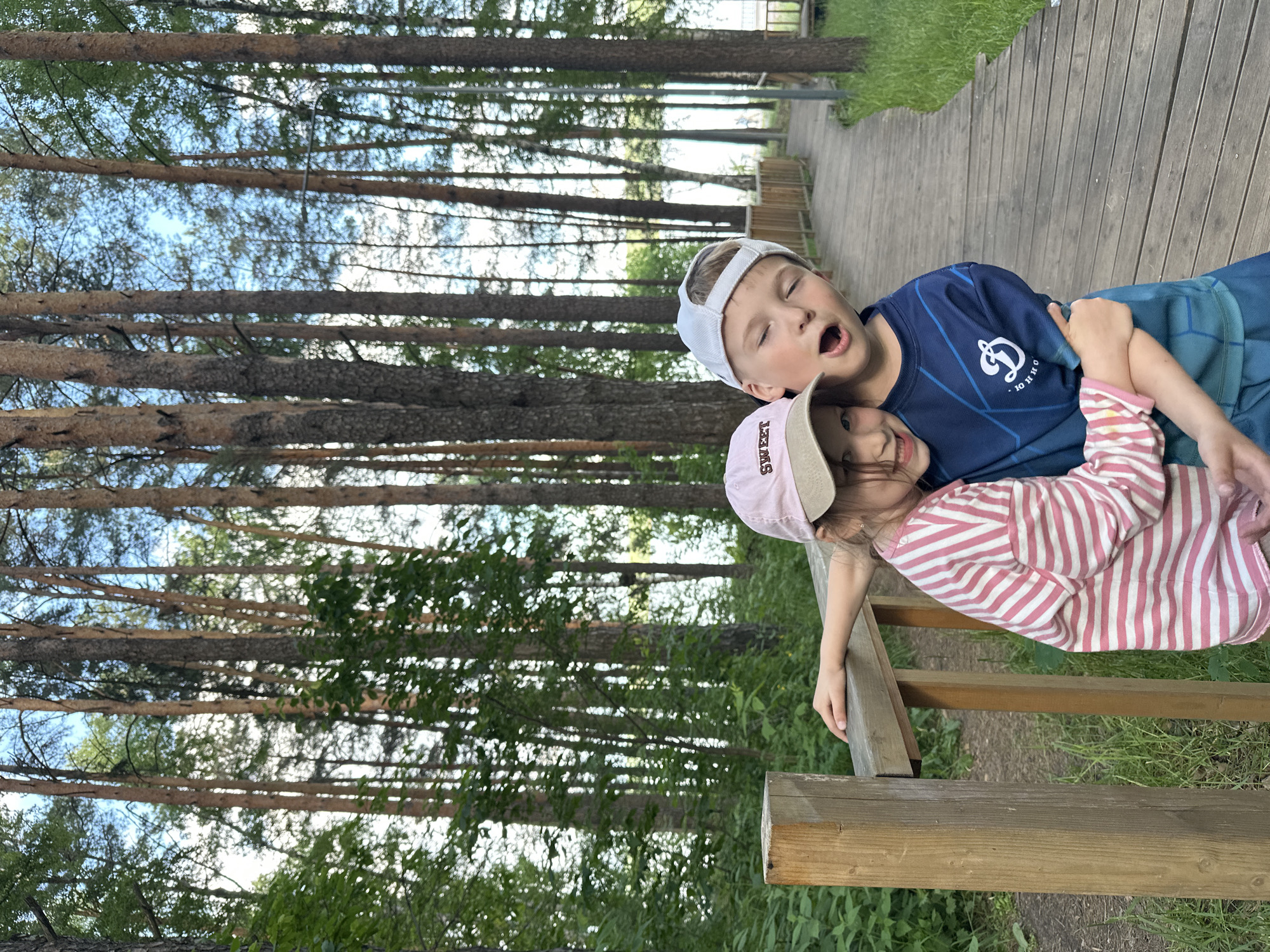 Two children, a girl and a boy, are captured in a playful embrace within a forested park in Chaikovsky, Russia. The girl, positioned on the left, wears a pink and white striped long-sleeved shirt and a pink baseball cap with "SWEET" embroidered in white. Her left hand rests on a wooden railing. She smiles directly at the camera while her right arm is wrapped around the boy's waist. The boy, standing slightly behind and to the right of the girl, wears a blue athletic shirt featuring a white stylized 'D' logo with Cyrillic text "ЮННО" below it, and blue shorts. He also wears a white baseball cap backward. His eyes are closed, and his mouth is wide open in an exaggerated expression. His left arm is around the girl's upper back, pulling her close.
The children stand on the left side of a wooden boardwalk that recedes into the background, curving gently to the right. Lush green vegetation, including grass and ferns, lines the ground immediately adjacent to the boardwalk. A dense forest of tall, slender pine trees with reddish-brown trunks and green canopies dominates the background, creating a natural canopy through which a bright blue sky is visible. A calm body of water, likely a lake or river, is discernible through the trees in the distant background on the right side of the image. The scene is illuminated by natural daylight.