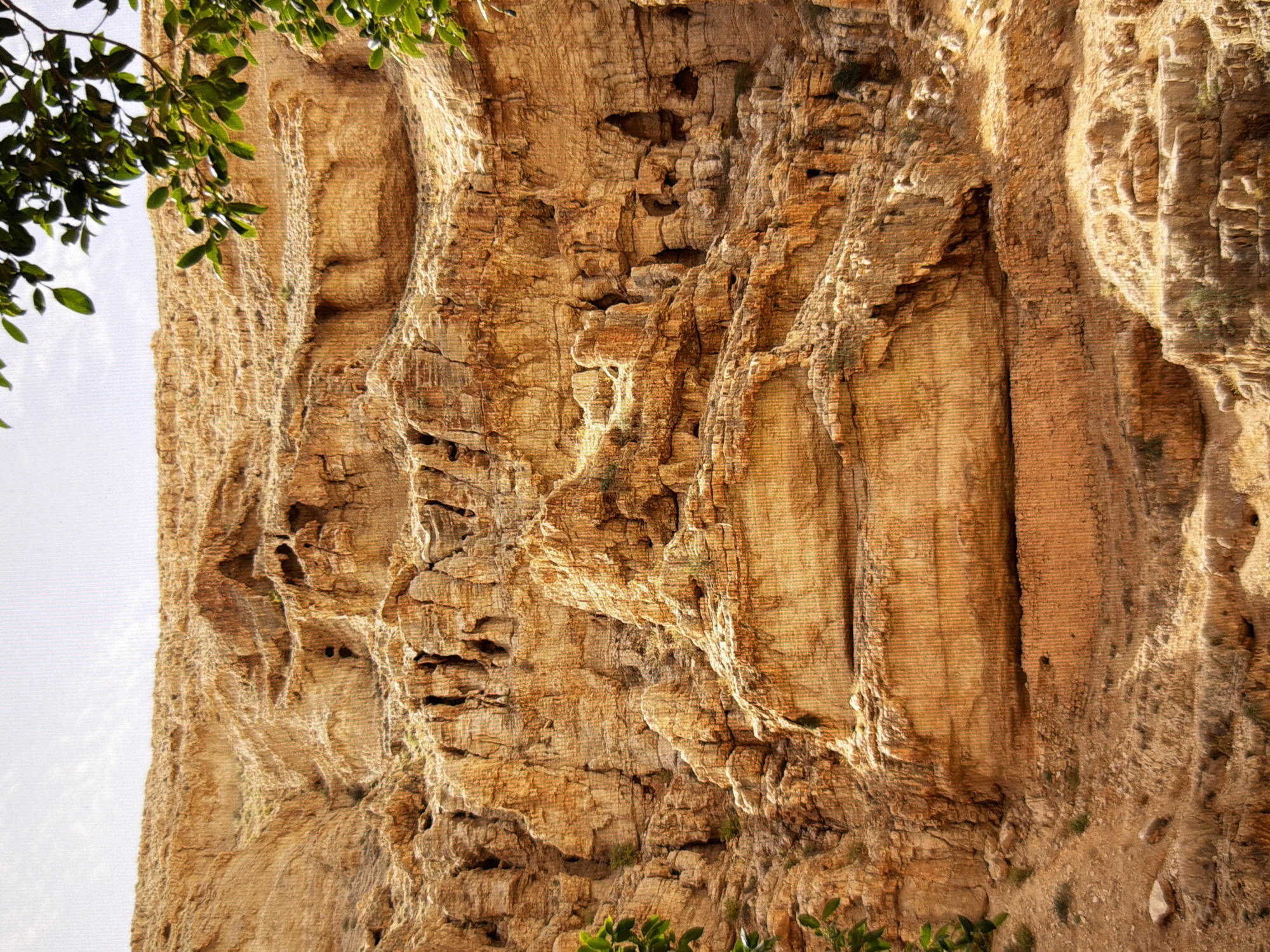 The image shows a natural rock formation with several small cave-like openings or indentations. The rocks are a warm, sandy, and reddish-brown color, with textures indicating erosion and layering. Some sparse vegetation, including green leaves from a tree branch visible in the upper right corner and some smaller plants near the base of the rock face, is present. The sky is light and overcast. The scene appears to be an outdoor natural environment, possibly a canyon or a mountainside. There is no indication of any urban setting, city, or specific location in Kyiv, Ukraine.