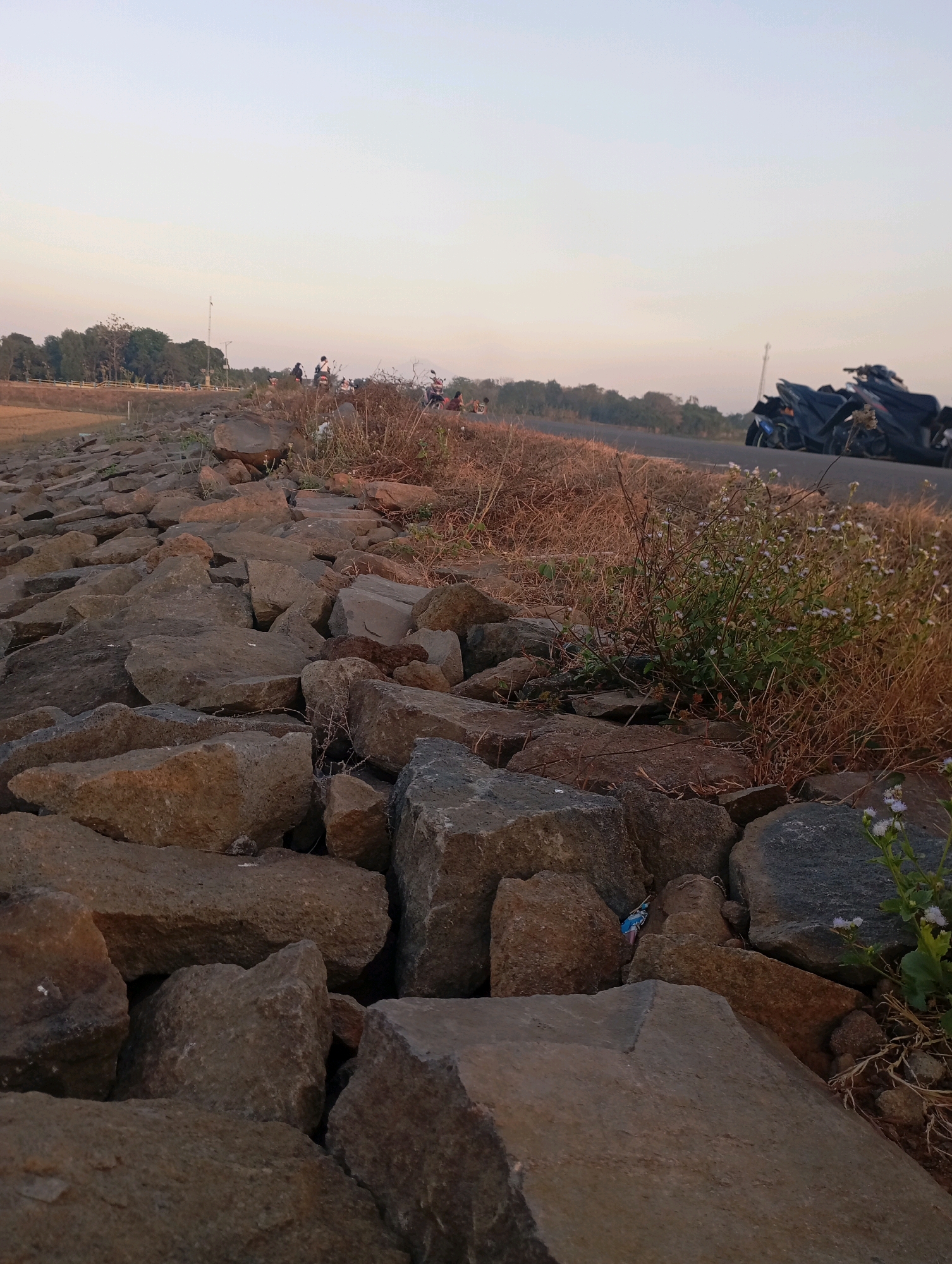 A ground-level, low-angle outdoor shot captures a rocky embankment bordering a road. The embankment is composed of numerous large, irregular stones in shades of brown and gray. Dry, straw-colored vegetation and some small white flowers grow amongst the rocks. In the background, a paved road runs parallel to the embankment. Several motorcycles are parked on the side of the road, and a few individuals are visible, some standing and others seated, near the road and on the embankment. Further in the distance, trees line the horizon under a pale, hazy sky. The overall scene suggests a rural or semi-rural setting in Haurkolot, Indonesia, likely during a late afternoon or early evening.