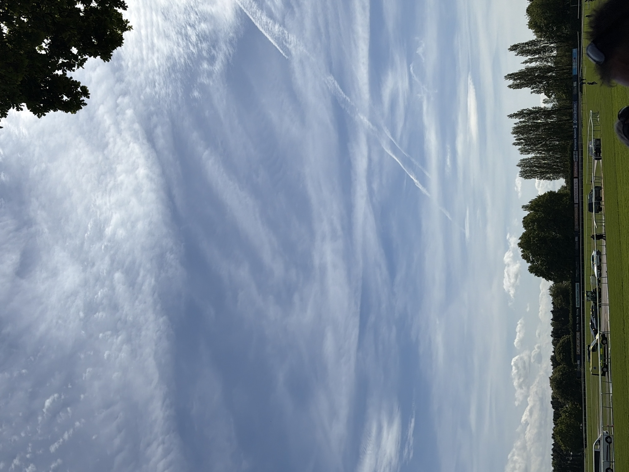 The image depicts a sky filled with numerous streaks of cirrus clouds and airplane contrails. Below the sky, a green grassy field is visible, bordered by a line of trees. There are vehicles parked along the edge of the field. The location is in an urban area, presumably a park or open space. The city is not visible in the image.