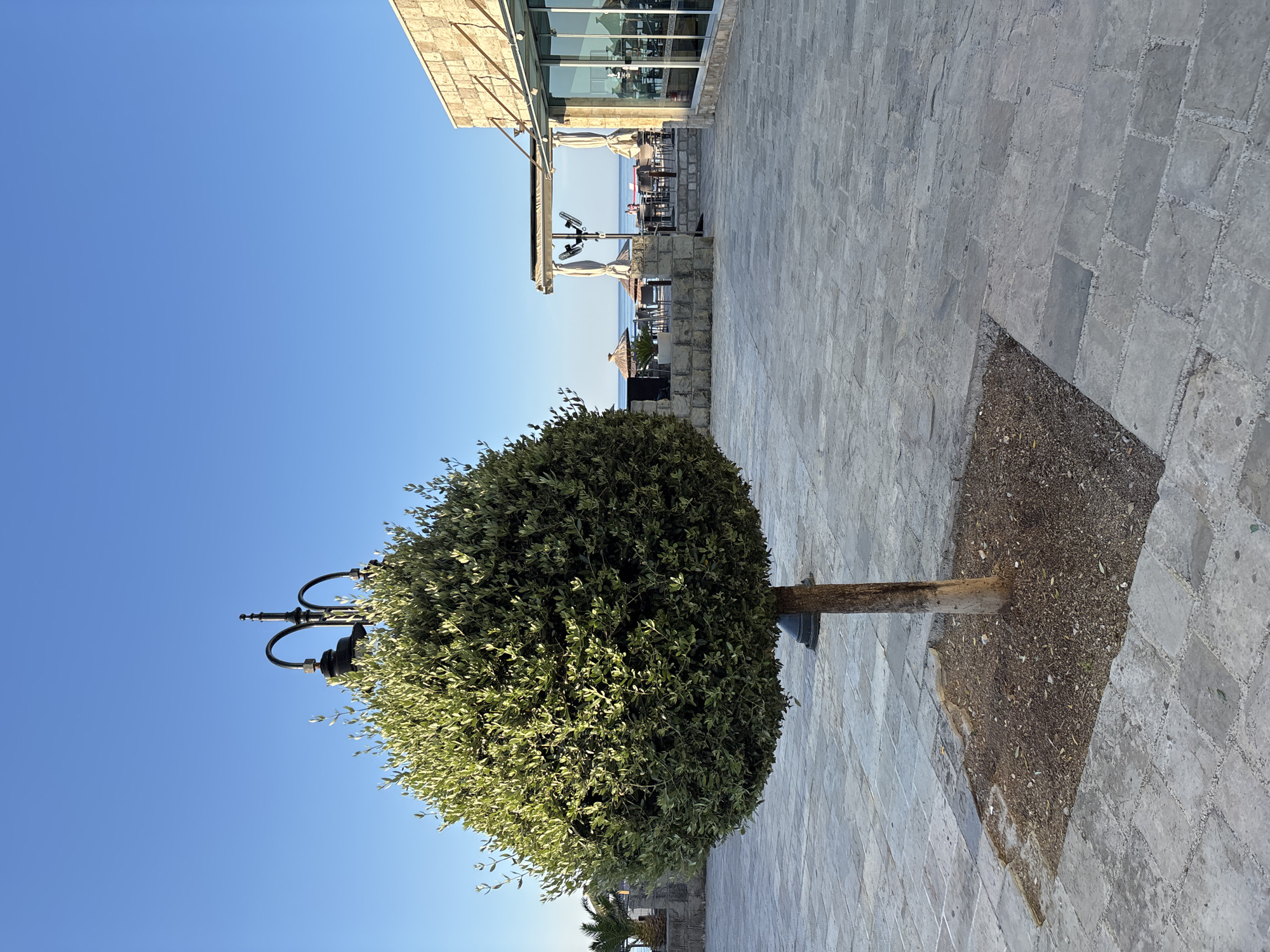 An outdoor scene with a spherical topiary tree in the foreground, situated on a stone-paved plaza. The tree has a visible brown trunk and a dense, green canopy that partially obscures a black lamp post with ornate curved arms. The plaza is paved with large, irregularly shaped gray stones. To the right, a building with a stone facade and large glass windows is visible. In the background, beyond the plaza, there is a glimpse of the sea, with several umbrellas and tables set up in what appears to be an outdoor seating area for a restaurant or cafe. The sky is clear and blue.