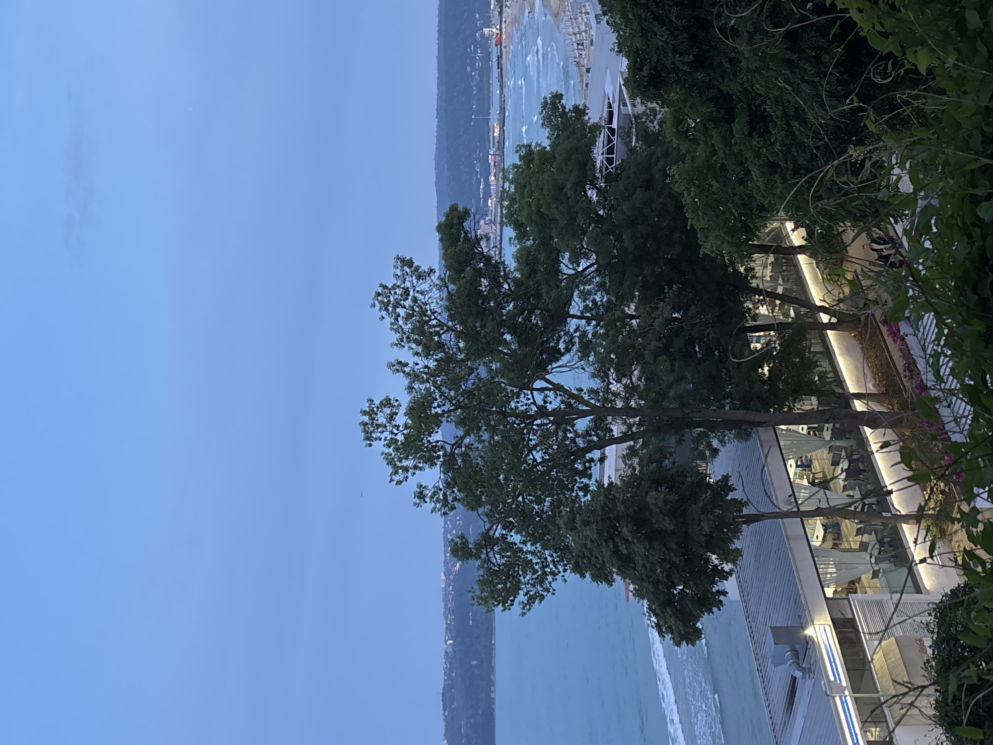 The original image is presented vertically, rotated 90 degrees clockwise from a standard landscape orientation. It captures an evening or dusk scene overlooking the coastline in Varna, Bulgaria, from an elevated vantage point.
In the foreground and midground, lush green trees with dark foliage frame the view. Beneath them, a contemporary building, likely a restaurant or cafe, features extensive glass panels and illuminated strip lighting along its facade and potentially its roof. Outdoor seating areas with tables, chairs, and white canopy structures are visible, suggesting a vibrant dining or leisure space.
Beyond the building, the serene, light blue waters of the sea stretch out, with gentle white waves approaching the shore. In the far distance, a mountain range or hills line the horizon, and along the distant coastline, the twinkling lights of a town or city are visible. Hints of beach infrastructure, such as sun loungers and umbrellas, can be seen on the sandy expanse. The sky overhead is a clear, deep twilight blue, and a very faint aircraft can be discerned in the distant sky.
A red sign displaying the "Coca-Cola" logo is visible on the side of the building. The overall ambiance is tranquil and inviting, characteristic of a relaxing evening by the Black Sea.