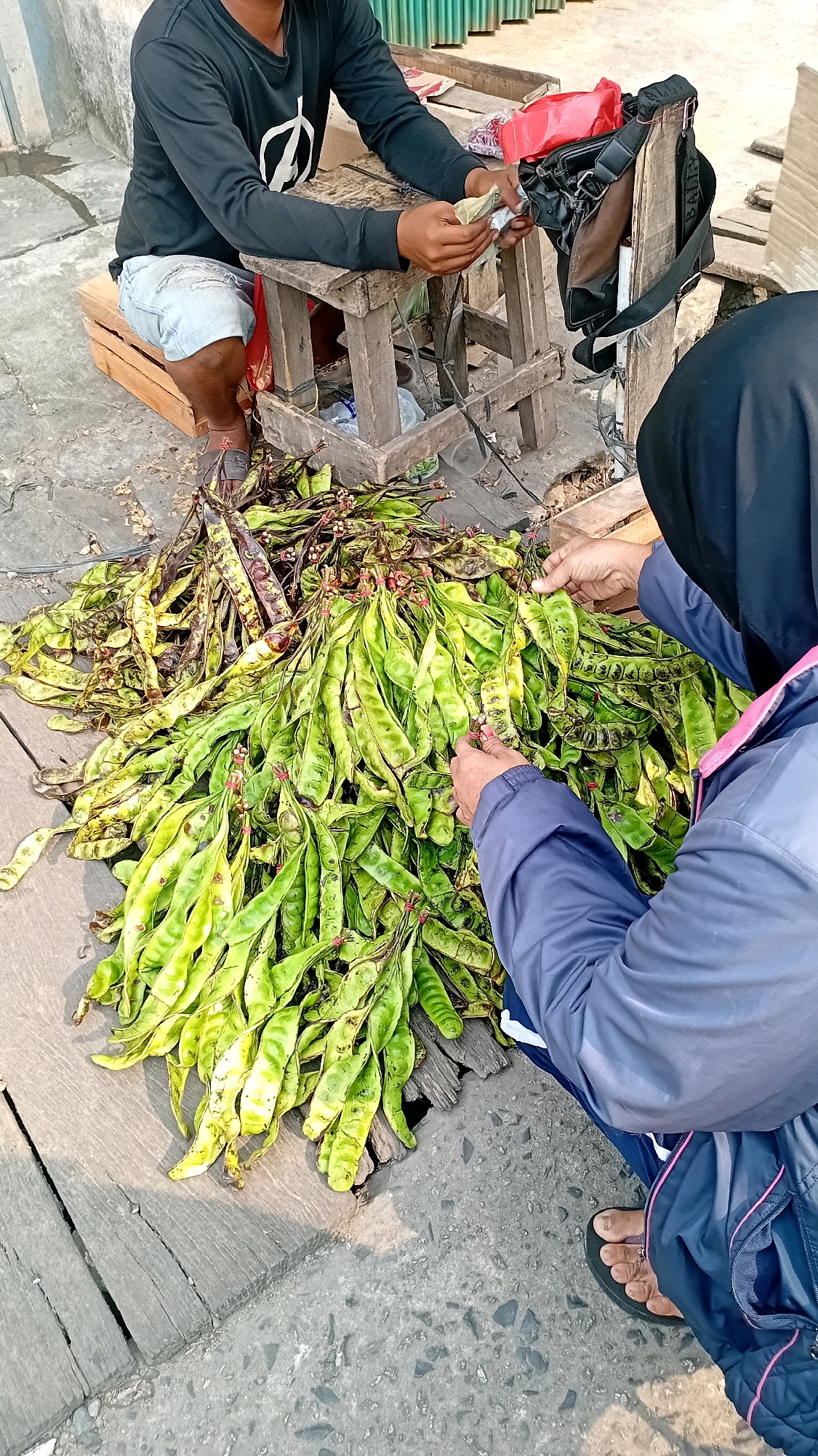 The image depicts a scene on a paved ground, likely a street or market, in Jambi, Indonesia. A large pile of green and brown petai beans is spread out on wooden planks. Two individuals are interacting with the beans. One person, partially visible from the back and wearing a dark headscarf and a blue jacket, is kneeling and appears to be examining or selecting the petai. Their hands are visible, reaching into the pile. Another person, sitting on a wooden stool and wearing a black long-sleeved shirt and light-colored shorts, is holding some money in their hands. They are positioned behind a rustic wooden table, with bags and other items on it. The overall impression is of a transaction or preparation for sale of produce, likely in an outdoor market setting in Jambi.