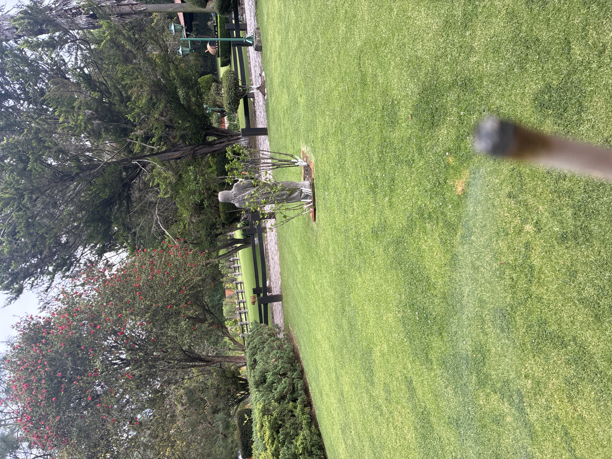 The image depicts a lush green lawn in an outdoor setting, likely a park or garden. A stone statue stands near a pathway, which is lined with trees and shrubs. In the background, there is a series of dark brown park benches, and trees are interspersed along the edge of the frame. A blurry object is partially visible in the lower-right corner. The location is Cañada de Madero, Mexico. There are no people visible.