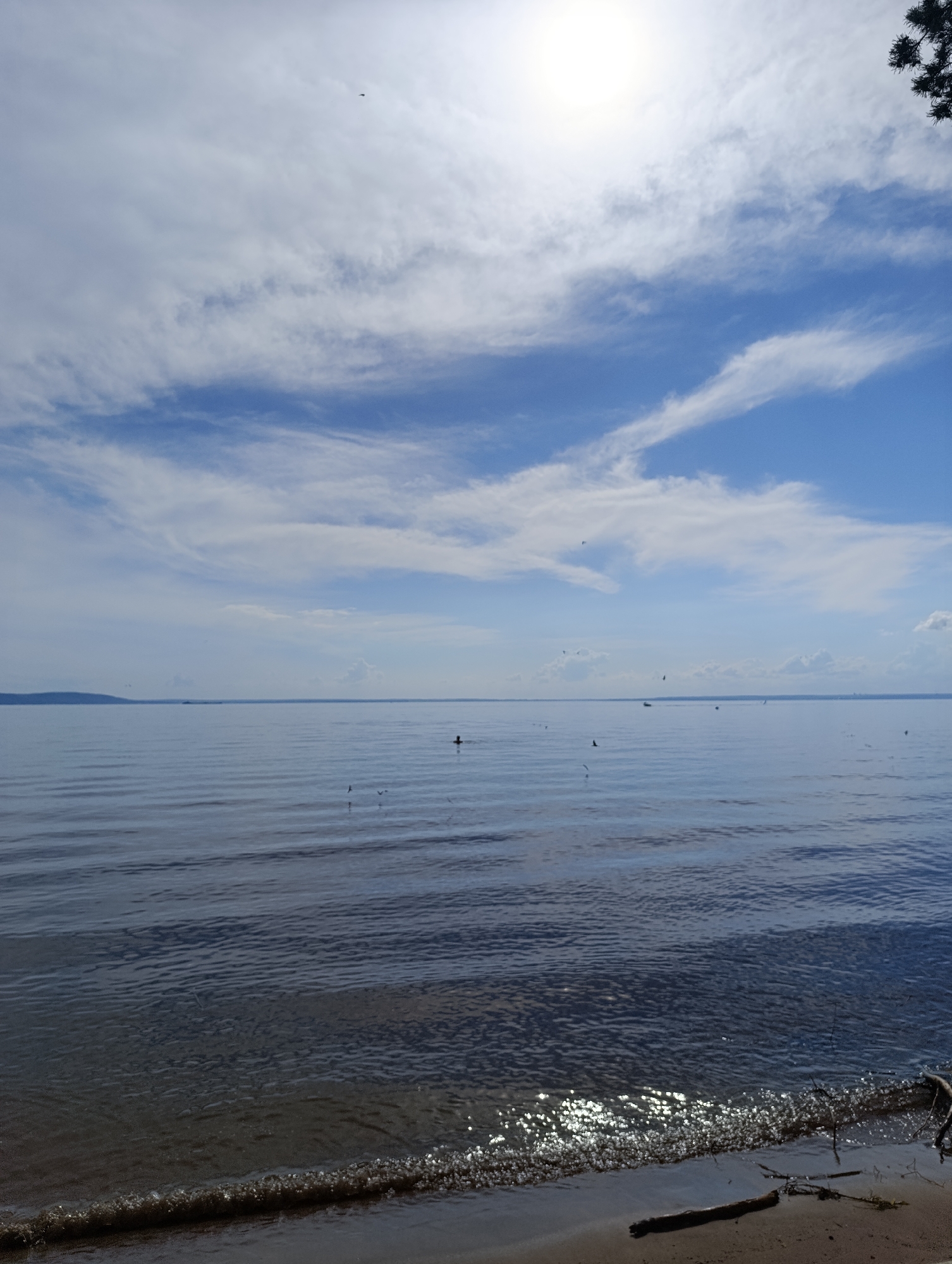 A low-angle, vertical shot captures a wide, calm body of water under a bright, hazy sun. The sky is filled with wispy white clouds against a pale blue backdrop. In the distance, a faint, dark landmass stretches across the horizon. The water's surface is smooth with subtle ripples, reflecting the sky and sunlight. Near the right side of the frame, a person is visible in the water, appearing to swim or float. Several birds are scattered across the scene, some flying in the sky and others closer to the water. The foreground shows a dark, sandy shore with a few pieces of driftwood and a small wave lapping at the edge. The overall impression is one of tranquility and a serene outdoor scene.