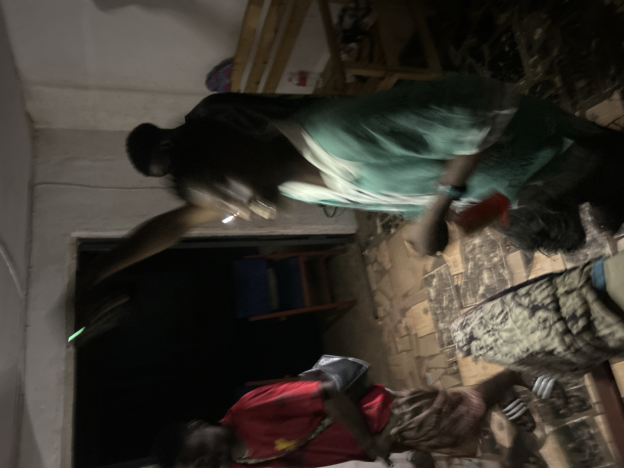 The image, captured in low light conditions, depicts an indoor scene with two individuals and various objects, appearing rotated 90 degrees counter-clockwise from a standard upright orientation. Motion blur is evident, particularly around the subjects.
In the upper portion of the frame, a person is visible, wearing a dark top and a light-colored or teal-green shirt. Their face is indistinct due to the darkness and blur. An arm is extended, from which a small, bright greenish light emanates, suggesting they might be interacting with a screen or a small illuminated device.
In the lower portion of the frame, another person is seen wearing a red top and a patterned brown and white lower garment, possibly a skirt or loose trousers. This individual also appears to be looking downwards, with their face obscured by shadow and blur. They seem to be positioned close to the floor, possibly sitting or kneeling.
The background includes a simple wooden shelving unit in the upper right. Below this, a blue container or object is partially visible. The floor exhibits a distinct brown and white patterned surface, possibly tiles or linoleum. A patterned blanket or piece of fabric is also visible on the floor near the lower person.
The overall setting suggests a room at night or in very dim ambient light, illuminated primarily by small, localized light sources. No specific emotions can be discerned, and no visible text is present. The location cues are generic, not providing specific geographical context.