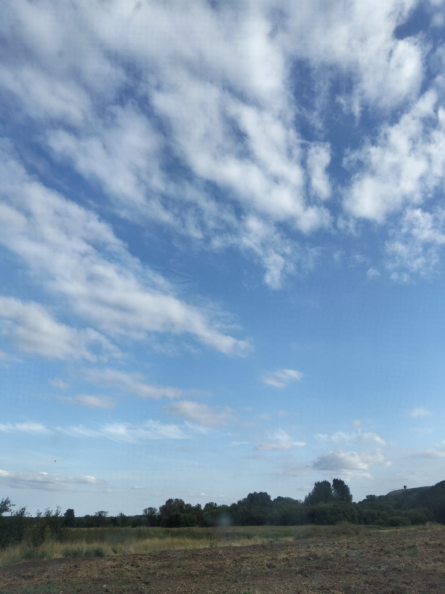 The image captures an outdoor scene of a landscape with a vast expanse of sky and a strip of land below. The sky is predominantly blue with scattered white clouds, some appearing wispy and others more dense. The clouds are arranged in a diagonal pattern across the upper portion of the frame. The lower part of the image shows a field with dry, brown vegetation and patches of dark soil in the foreground. Beyond the field, a line of trees and bushes forms a dark green barrier, suggesting a wooded area or natural vegetation. The horizon line is visible where the land meets the sky. The overall impression is one of a natural, rural environment under a partly cloudy sky. The location is Ustyvytsia, Ukraine.