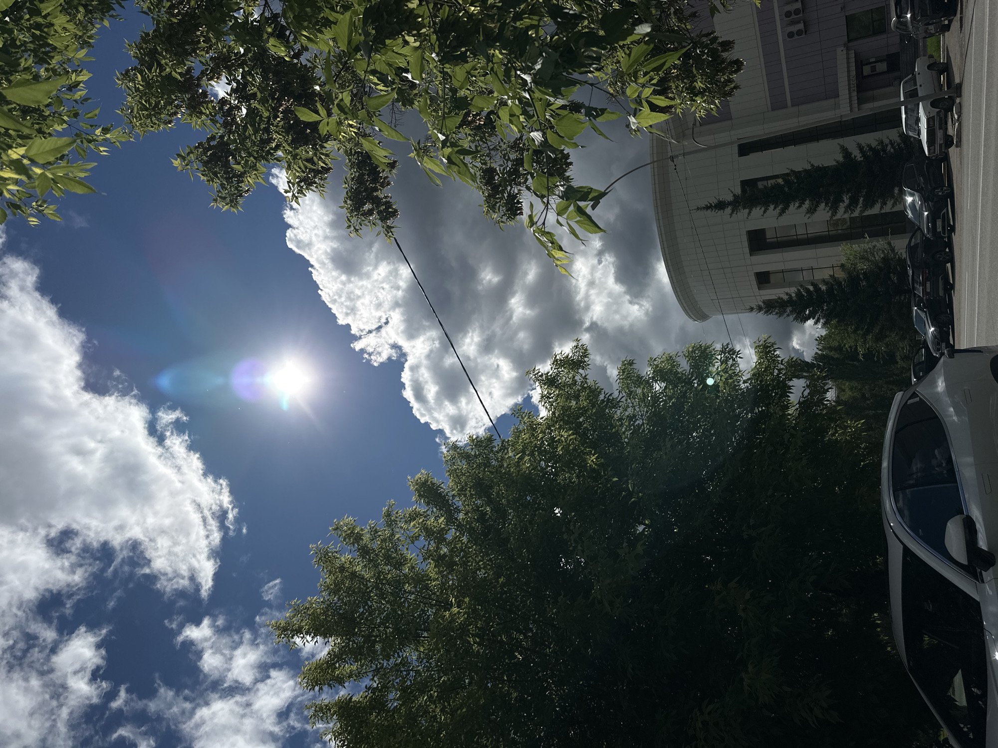 The image appears to be taken from a low angle, looking up into the sky, partially obscured by trees and a building. The location is likely Kokshetau, Kazakhstan.
**Environment:** The sky is partially blue with scattered white and grey clouds. The sun is visible, creating a lens flare effect. There is foliage from trees in the foreground, with green leaves and branches.
**Objects:** A multi-story building is visible in the background on the right side of the frame, with a curved architectural element on the top. There is a power line or cable running across the sky. Several parked cars can be seen, positioned on the edge of the street. A white car is visible on the right edge.
**People/Subjects:** No people are clearly visible in the image.
**Actions/Interactions:** No actions or interactions are directly visible. The scene appears static.