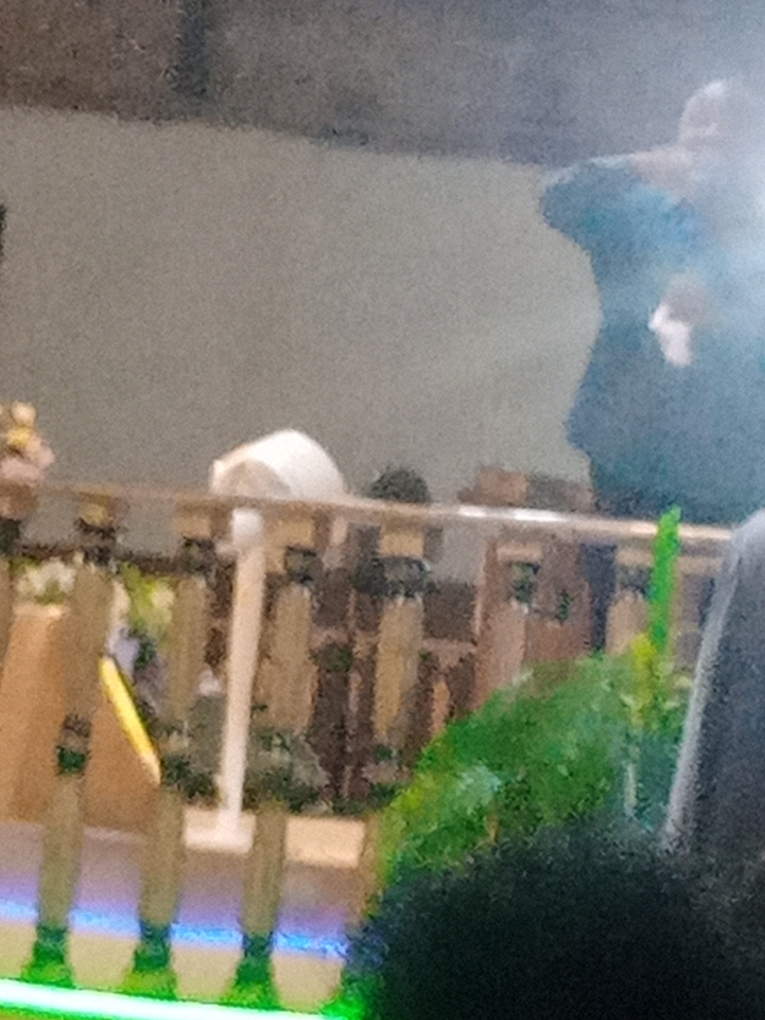 The image depicts an outdoor scene with a shallow depth of field. In the foreground, a blurred green object, possibly foliage, is visible. Behind this, a wooden fence-like structure runs horizontally across the frame, with vertical wooden posts supporting it. Some of these posts are painted with blue and green lights at their bases, suggesting an illuminated pathway or decoration. Yellow and white objects are interspersed among the foliage behind the fence. In the background, a person is partially visible, wearing dark clothing and a light-colored cap or head covering. The environment appears to be somewhat rustic or natural, with textured surfaces in the upper portion of the image that could be a wall or ground. The overall impression is of a dimly lit outdoor setting, possibly a garden or a public area with decorative lighting. There is no specific indication of the location being Rukuba Road, Nigeria.
