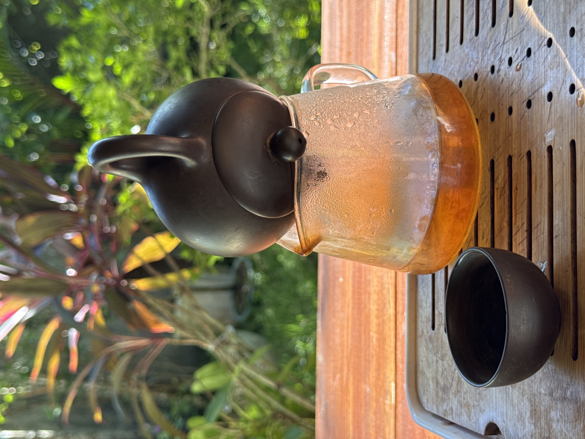An overhead shot shows a clear glass teapot filled with amber liquid, a dark brown teapot lid with a handle, and a dark brown teacup on a wooden tray. The teapot is positioned on the right side of the tray, while the teacup sits on the left side. Behind the tray, a wooden table is visible, followed by lush green foliage and a vibrantly colored plant. The scene appears to be set outdoors, possibly in the city of Ubud District, Indonesia, given the tropical flora.