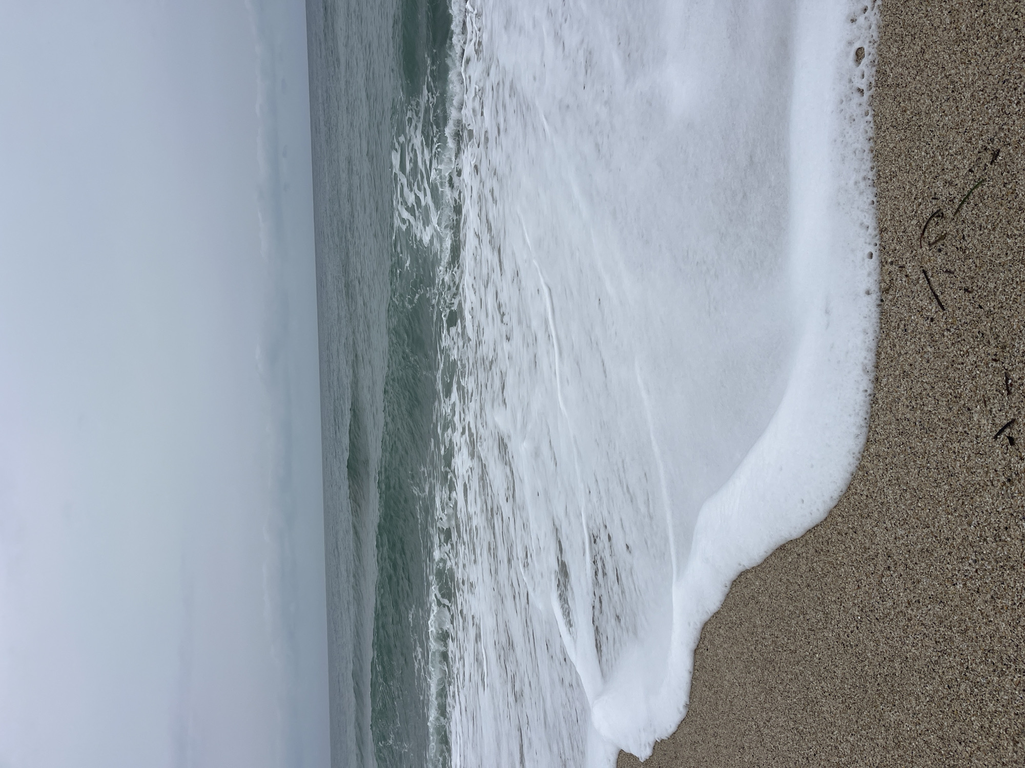 The image displays a coastal scene in Alanya, Turkey, under an overcast sky. The upper half of the frame consists of a muted grey sky, transitioning into a dark greenish-blue sea at the horizon line. Multiple waves are visible across the midground, with one prominent wave cresting and breaking towards the foreground. A wide, irregular band of white sea foam occupies the lower portion of the image, extending from the breaking waves onto the shore. The immediate foreground shows fine-grained, light brown sand, meeting the frothy waterline. Several small, dark, linear organic fragments, consistent with dried seaweed or twigs, are scattered on the wet sand in the lower right quadrant. No individuals, animals, or man-made objects are present.