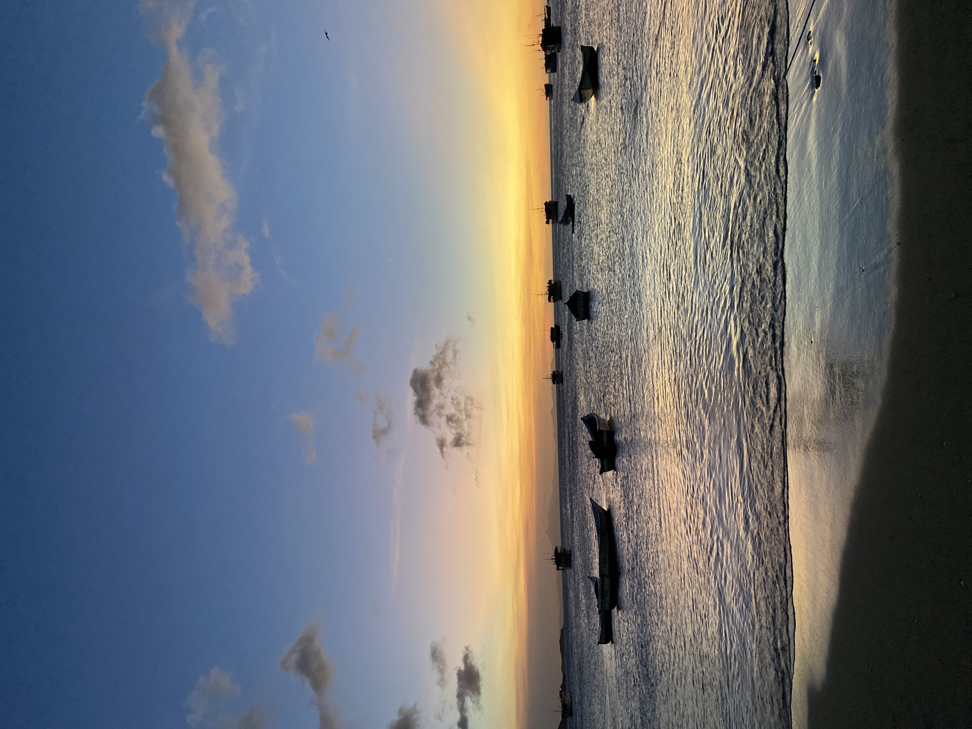 The image depicts a coastal scene at twilight or sunset in Juan Griego, Venezuela. The sky features a gradient from deep blue at the top, transitioning to lighter blue, then yellow, and finally orange-red at the horizon. Several scattered, dark-bottomed clouds are present in the sky, particularly in the upper and middle sections. A faint crescent moon is visible in the upper middle sky, and a small dark bird flies in the upper right quadrant.
The middle ground is occupied by a body of water, likely a bay, which displays a rippled surface and reflects the sky's colors, with warmer tones closer to the horizon. Approximately fifteen boats are anchored across the water, appearing as dark silhouettes against the reflective surface and distant skyline. These include several smaller, open vessels in the foreground and numerous larger boats, possibly fishing trawlers, further out.
A distant landmass with visible contours is present on the horizon, silhouetted against the bright sky. The immediate foreground shows a dark, wet sandy beach. A small wave is breaking onto the shore, creating a reflective strip of wet sand that transitions into the darker, drier sand of the beach's immediate edge. No individuals or specific actions are discernible.