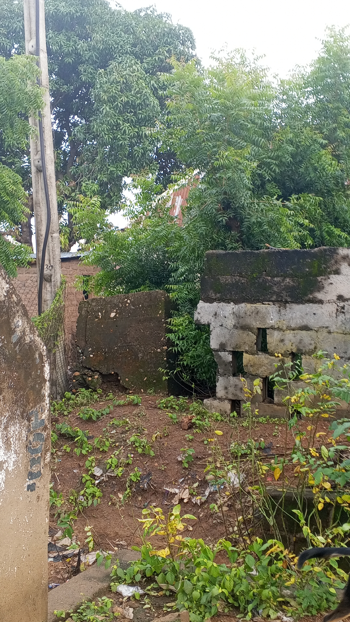 An outdoor scene in Nyita, Nigeria, features a concrete utility pole on the left, with tangled vegetation growing around its base. Behind the pole, a low brick building with a red-tiled roof is visible. In the foreground, several concrete structures and debris are scattered, indicating an unkempt area. The ground is covered with brown soil, sparse green plants, and scattered white and brown debris, likely litter. Two prominent concrete blocks, one dark and rough, the other lighter and made of stacked blocks with visible cavities, stand in the middle ground. A dense canopy of green trees with leafy branches dominates the upper portion of the image, obscuring the sky. The overall impression is one of an overgrown and neglected urban or semi-urban environment.