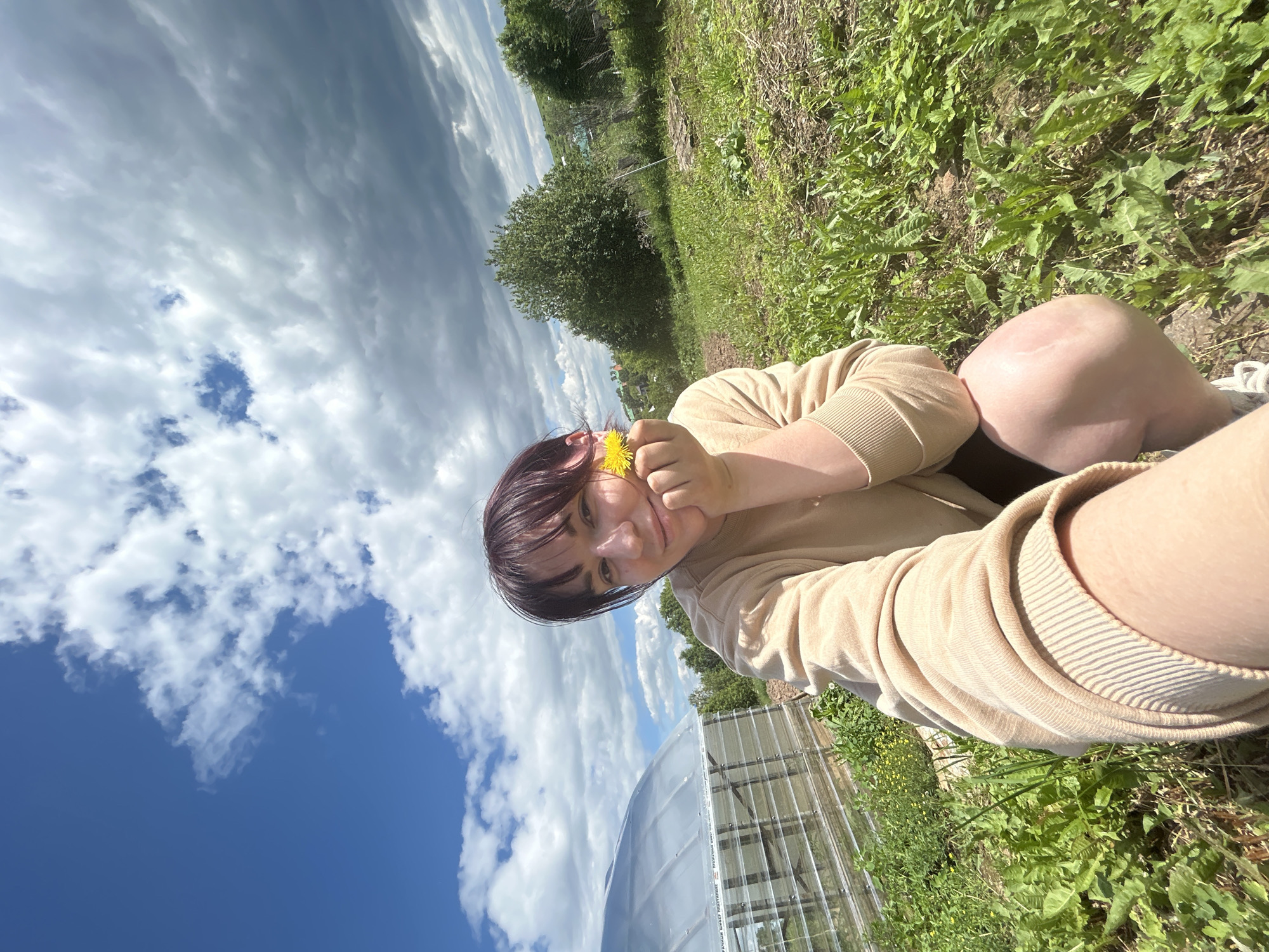 A person, appearing female, with short, dark reddish-brown hair and bangs, is shown in a crouched position in an outdoor setting in Фоки, Russia. She wears a light brown/tan long-sleeved sweatshirt and dark shorts, with a partial view of white sneakers. Her right hand, holding a single yellow dandelion, rests under her chin while she displays a slight smile. Her left arm is extended towards the camera, consistent with taking a selfie. The immediate ground is covered with green grass and weeds, interspersed with patches of bare soil. To the left, a large, arched greenhouse with a translucent roof and visible structural elements is present; text in Russian, "ЛУЧШИЙ ВЫБОР ПРЕИМУЩЕСТВА," is discernible on a horizontal strip across its facade. To the right and in the background, more green foliage, trees, and distant buildings or houses are visible. The sky above is split, showing clear blue with scattered white clouds on the left and denser, dark grey clouds on the right. The scene is illuminated by natural daylight.