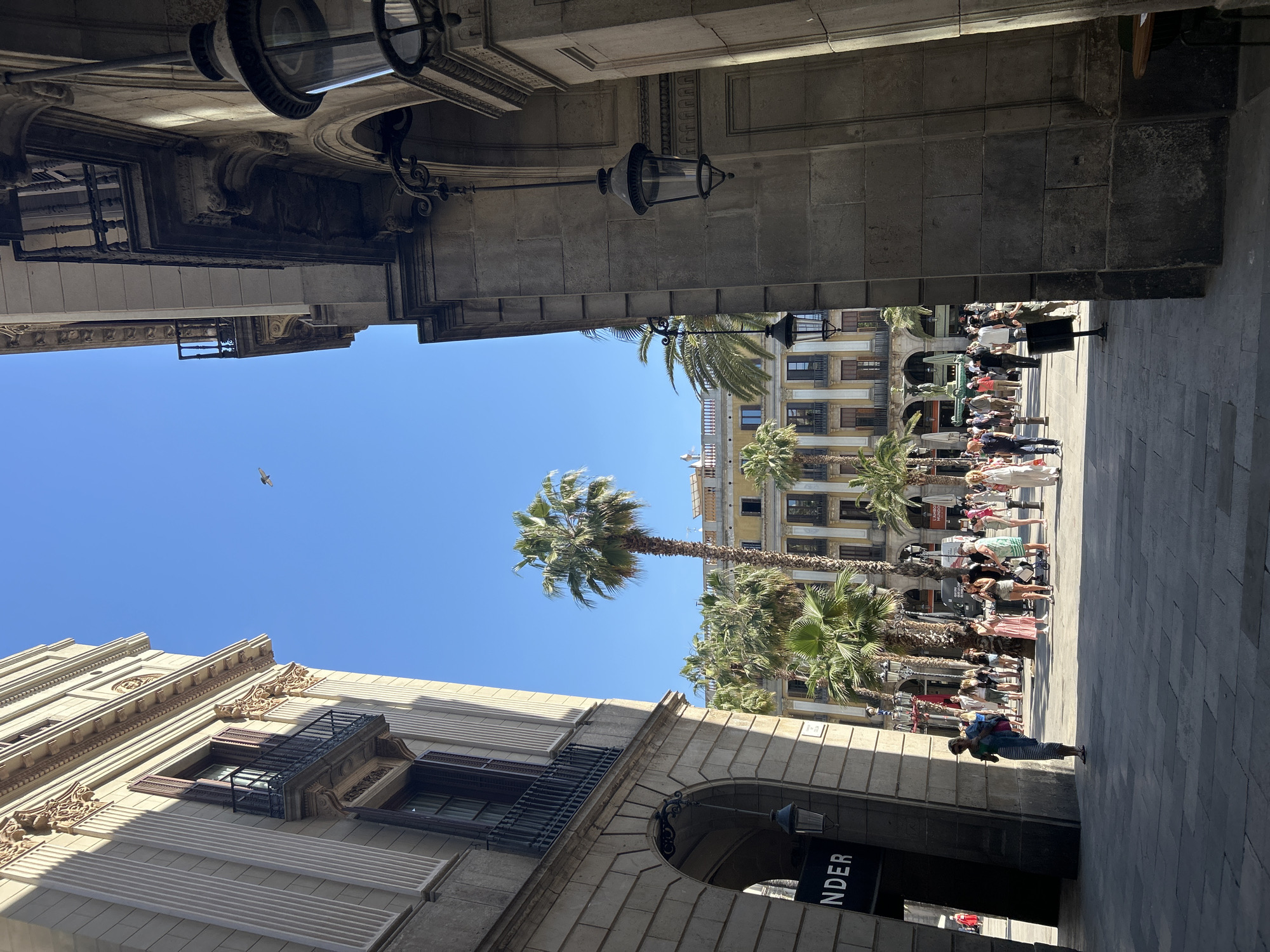 The image presents a vibrant urban scene, viewed from within a shaded, stone archway looking out onto a sunny public square. The foreground is dominated by the heavy, ornate stone architecture of the archway, from which classic street lamps are suspended.
Beyond the archway's shade, a wide-open square bathed in bright sunshine unfolds under a clear, vivid blue sky. Several tall palm trees are scattered across the square, their green fronds contrasting with the urban backdrop. In the midground and background, multi-story buildings with traditional European architecture feature balconies, intricate decorative elements, and numerous windows.
A considerable number of people are gathered in the sunny part of the square, primarily concentrated on the right side of the frame. They appear to be standing, conversing, or casually strolling, dressed in light, summer attire, suggesting a pleasant day. One individual, wearing a blue and white striped garment, walks out from the shaded foreground into the sunlit area. High above, a small bird is visible, soaring against the clear sky.
The scene depicts a bustling city environment, likely during mid-day or early afternoon, given the sharp contrast between the deep shadows and brilliant sunshine. The general atmosphere is lively and suggests a popular gathering spot. A partial sign in the lower right foreground displays the text "NDER". This setting is consistent with urban landscapes found in places like Barcelona, Spain.