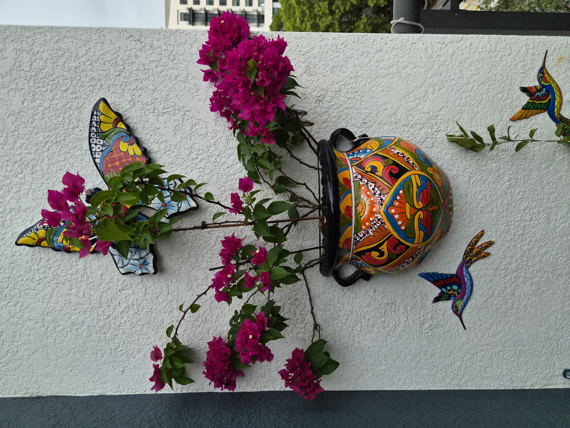 In Fort Lauderdale, Florida, a vibrantly decorated hanging planter filled with fuchsia bougainvillea adorns a textured white stucco wall. The planter, a polychrome ceramic pot with black handles, displays intricate patterns in blues, reds, yellows, and greens. Above the planter, a colorful ceramic butterfly with spread wings, patterned in yellow, blue, red, and green, is mounted on the wall. Below the planter, two decorative ceramic hummingbirds, one in flight and the other positioned lower on the wall, are also attached. The hummingbird in flight is primarily blue, red, green, and yellow, with its wings outstretched. The lower hummingbird features similar vibrant colors. Green foliage from a small plant grows up the wall near the lower hummingbird. In the background, a modern building with balconies and trees are visible, suggesting an urban or suburban setting, possibly a balcony or patio area.